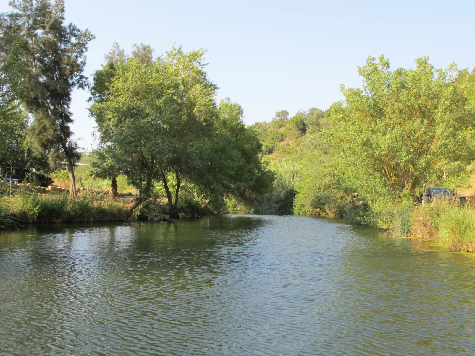 V4 Águia Vermelha - Area