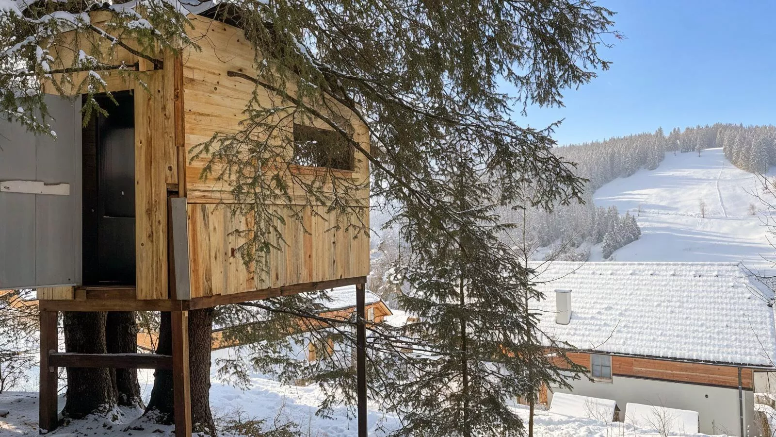 Wanderlust - Garden in winter