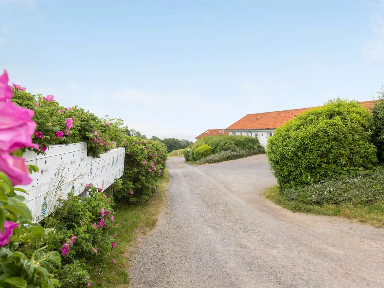 "Roger" - 400m from the sea