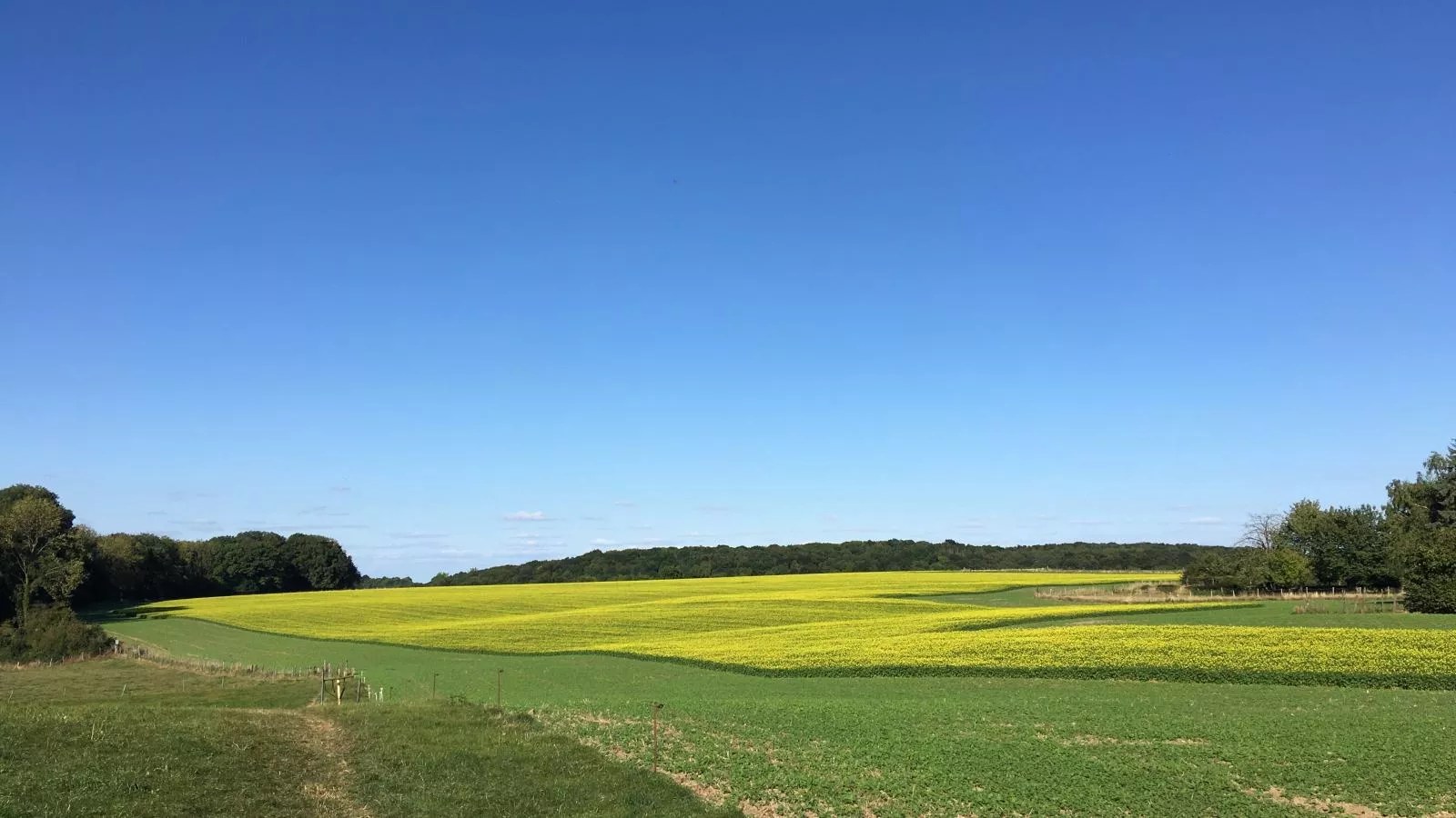 Logeren bij Laura - Vue d'été