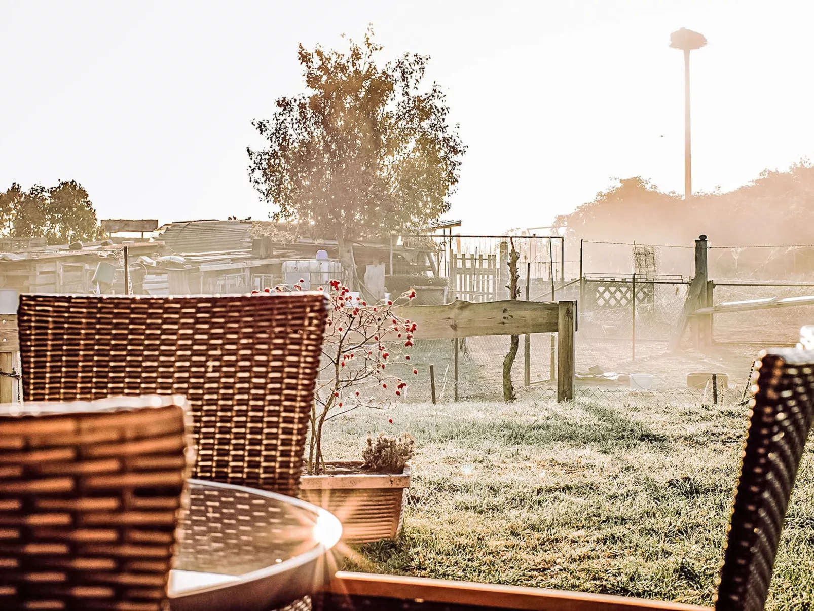 Appartement in Zinnowitz mit Grill - Draußen