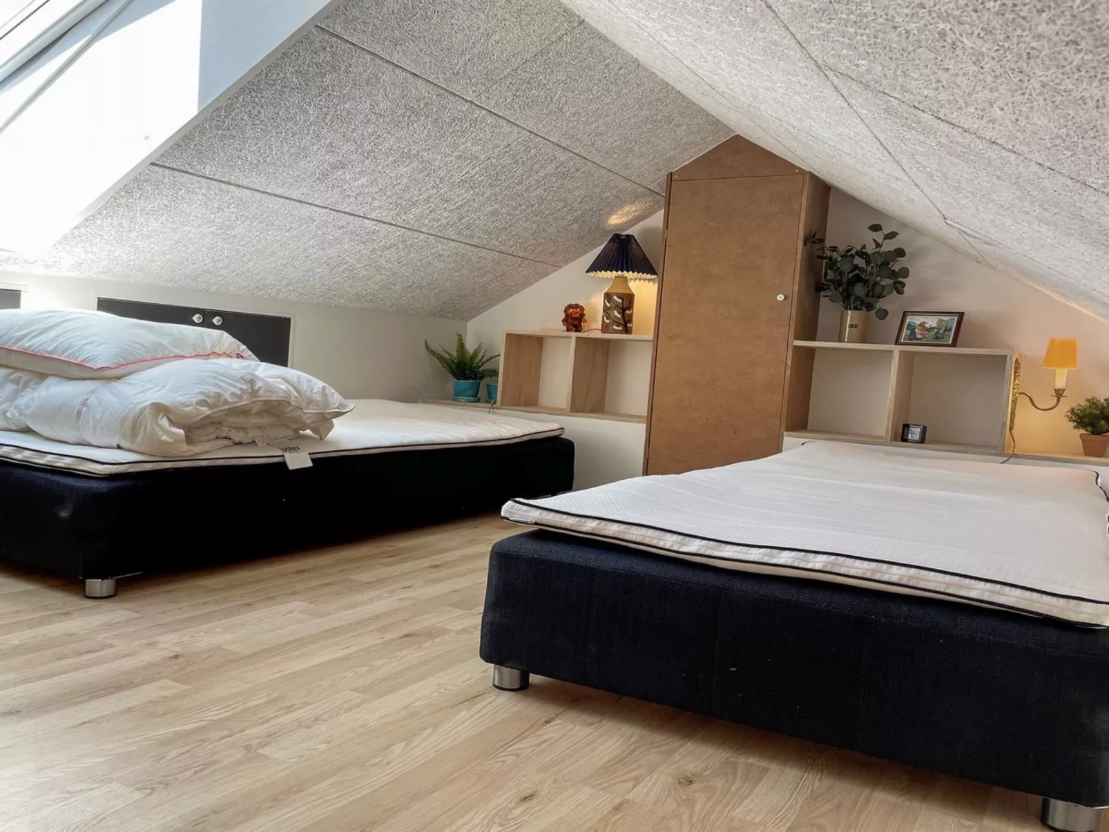 "Roger" - 400m from the sea - Inside