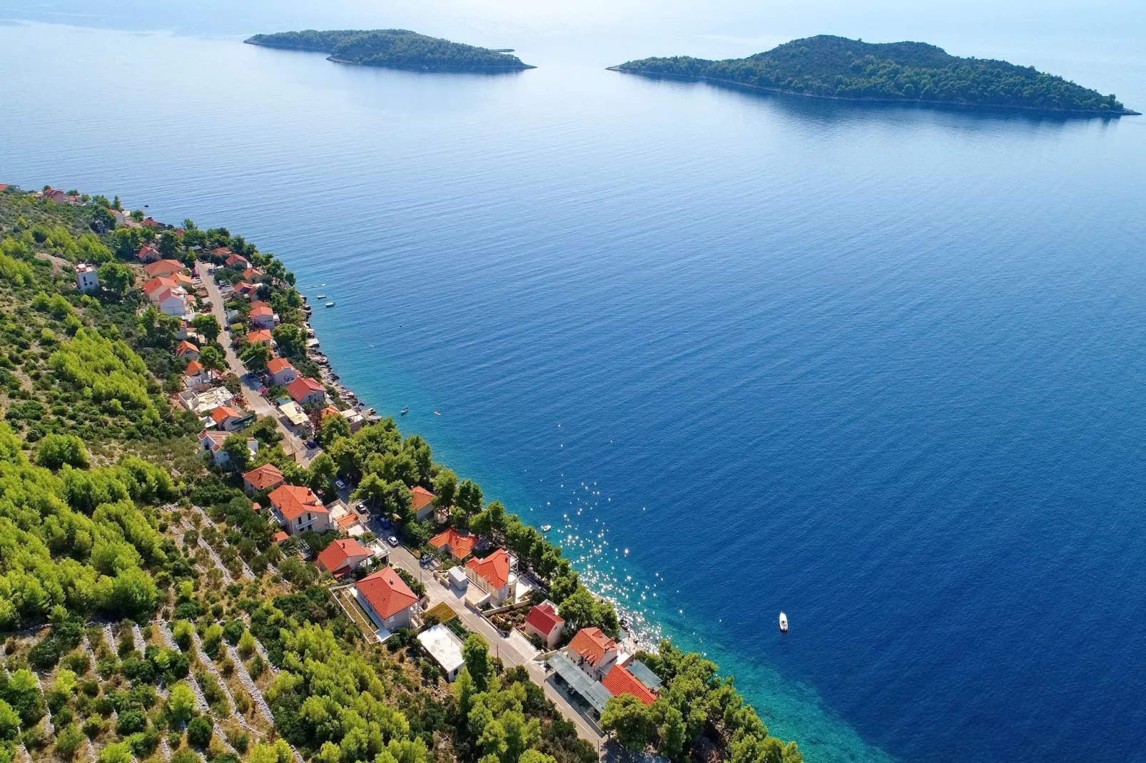 Seaside Apartments Markota - Two Bedroom Apartment  with Terrace and Sea View ( A1) - Ambiente