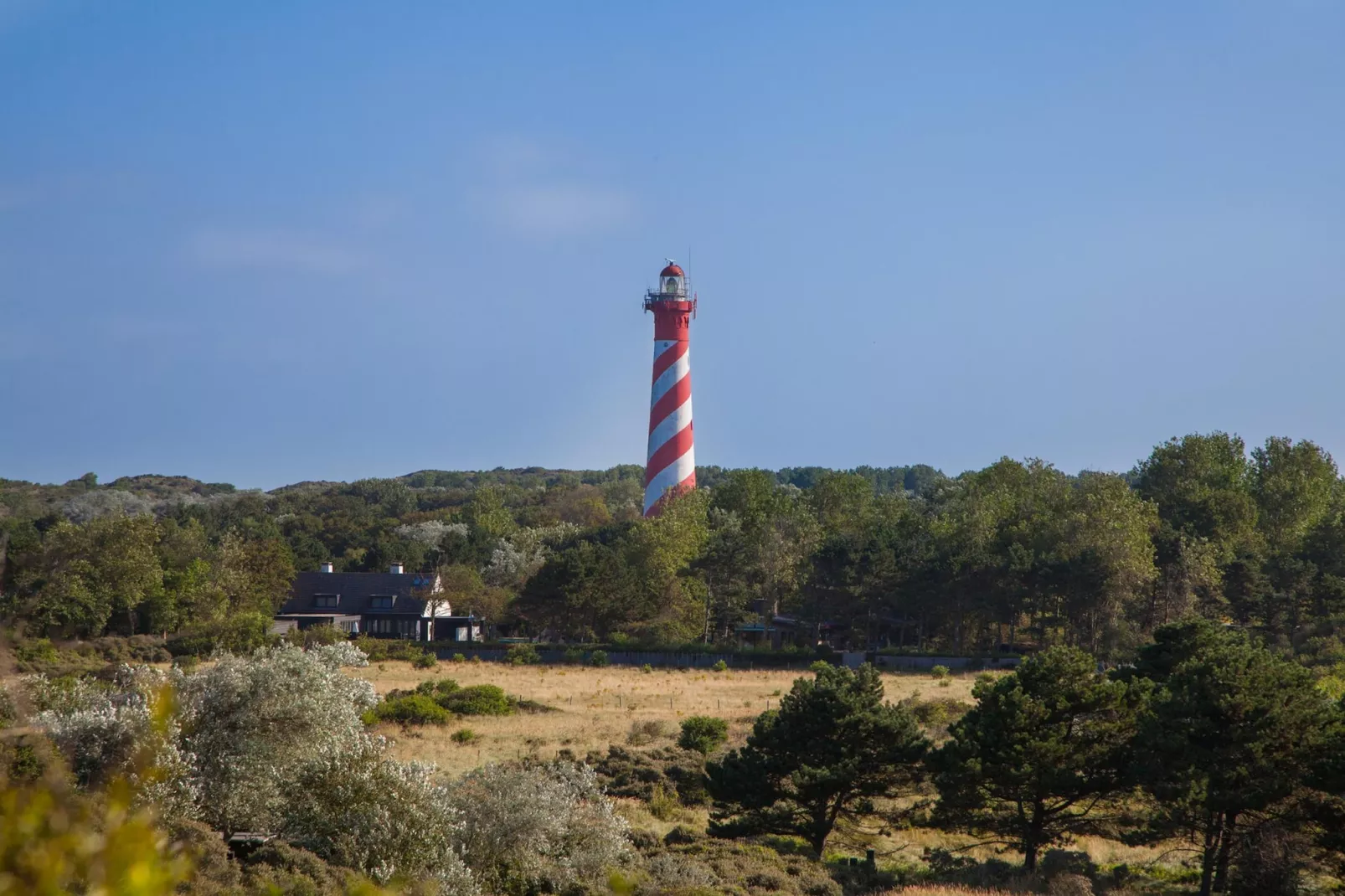 Duinhoeve Chalet Zeeland (huisdier toegestaan) - Areas within 5km in summer