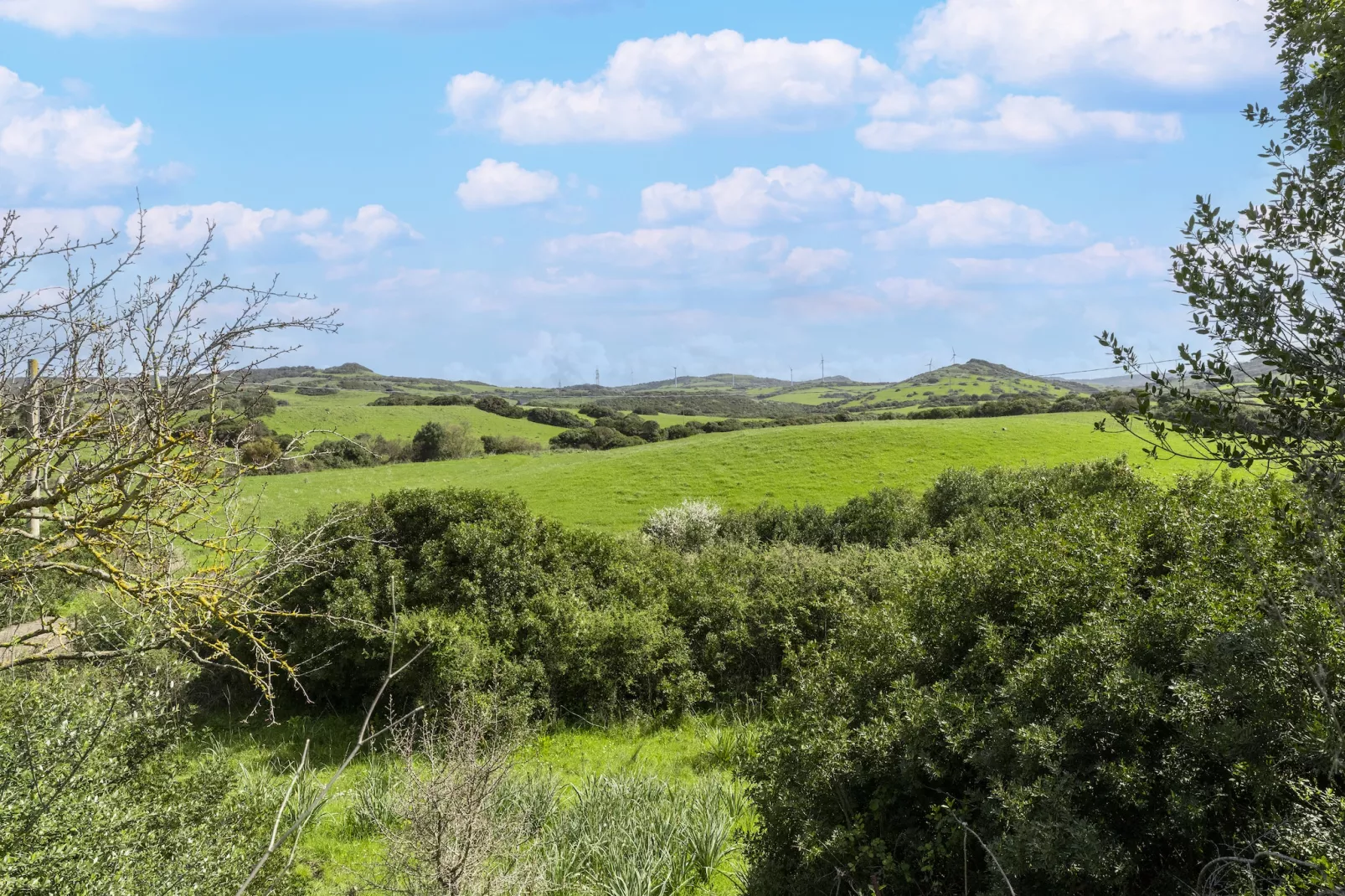 CASA ALBERICI - Areas within 5km in summer