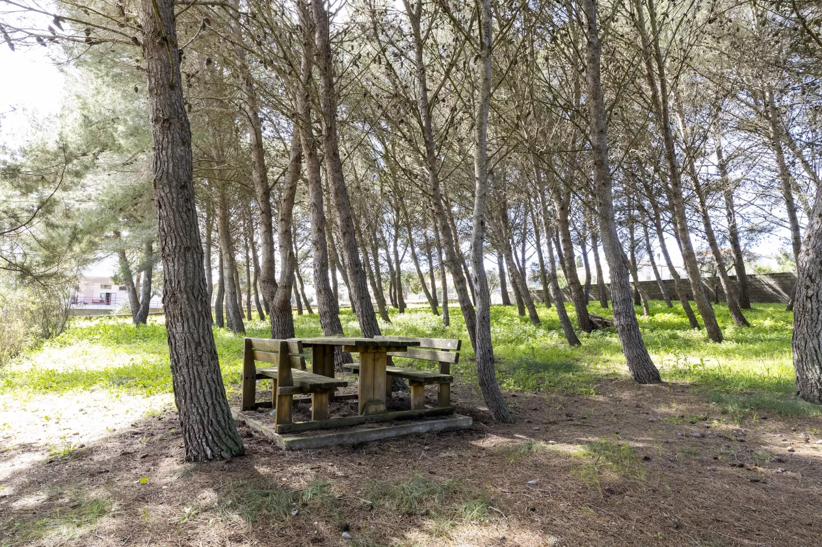 CASA ALBERICI - Areas within 5km in summer