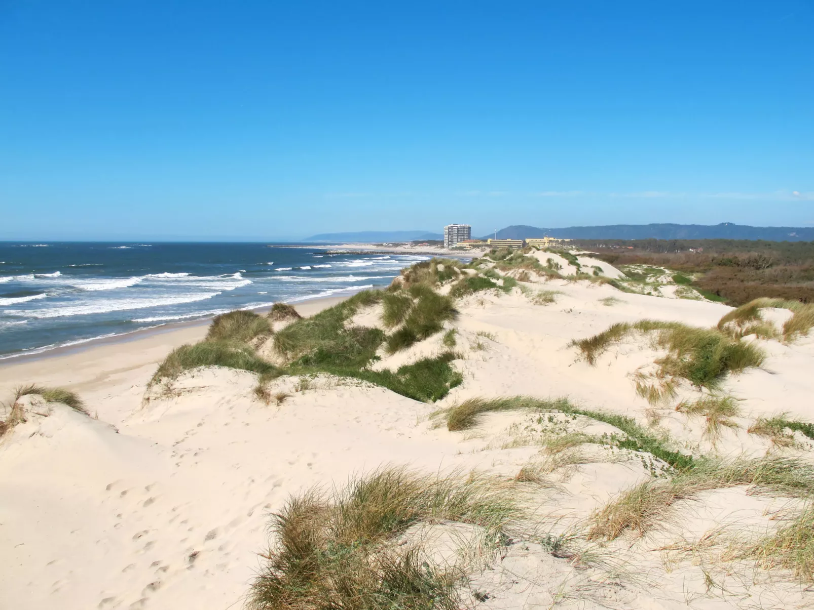 Vivenda Rafael - Area