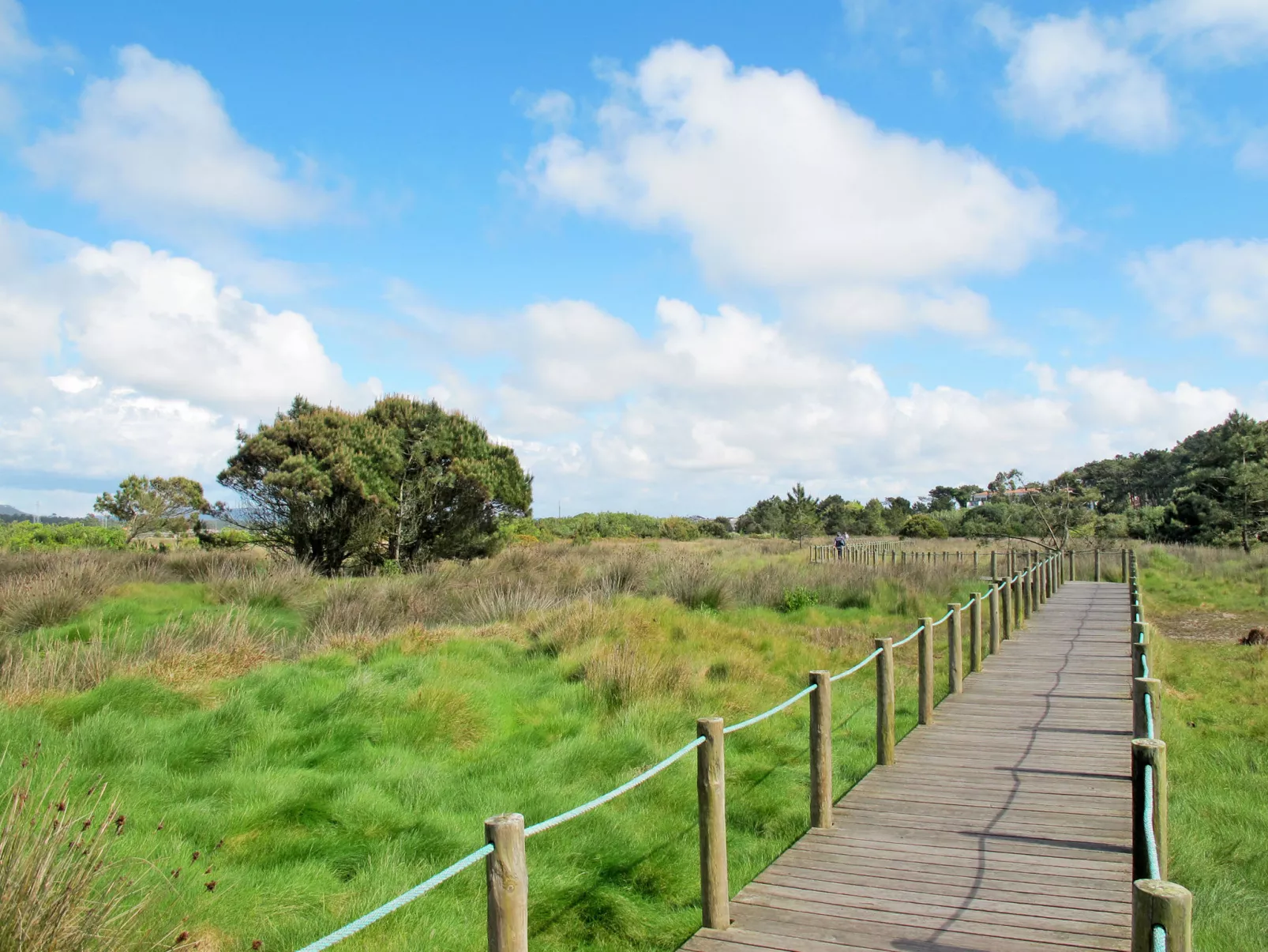 Vivenda Rafael - Area