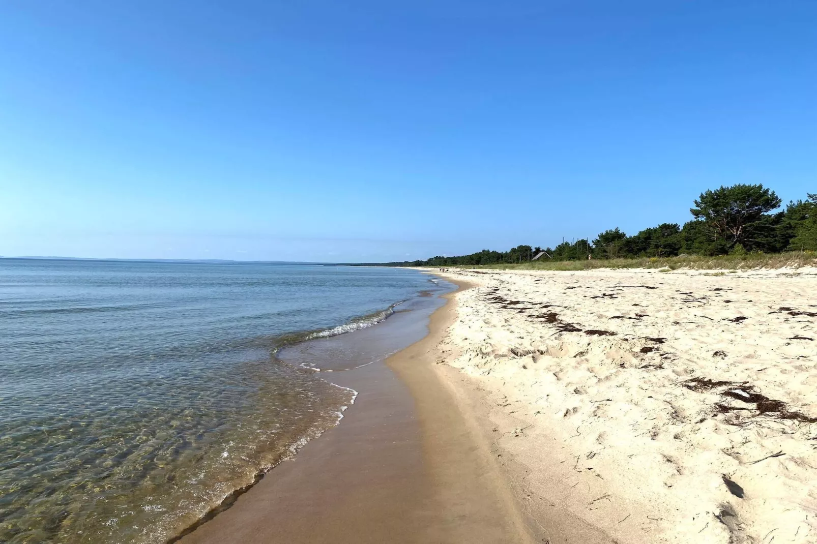 4 star holiday home in YNGSJÖ, SVERIGE - Outdoor