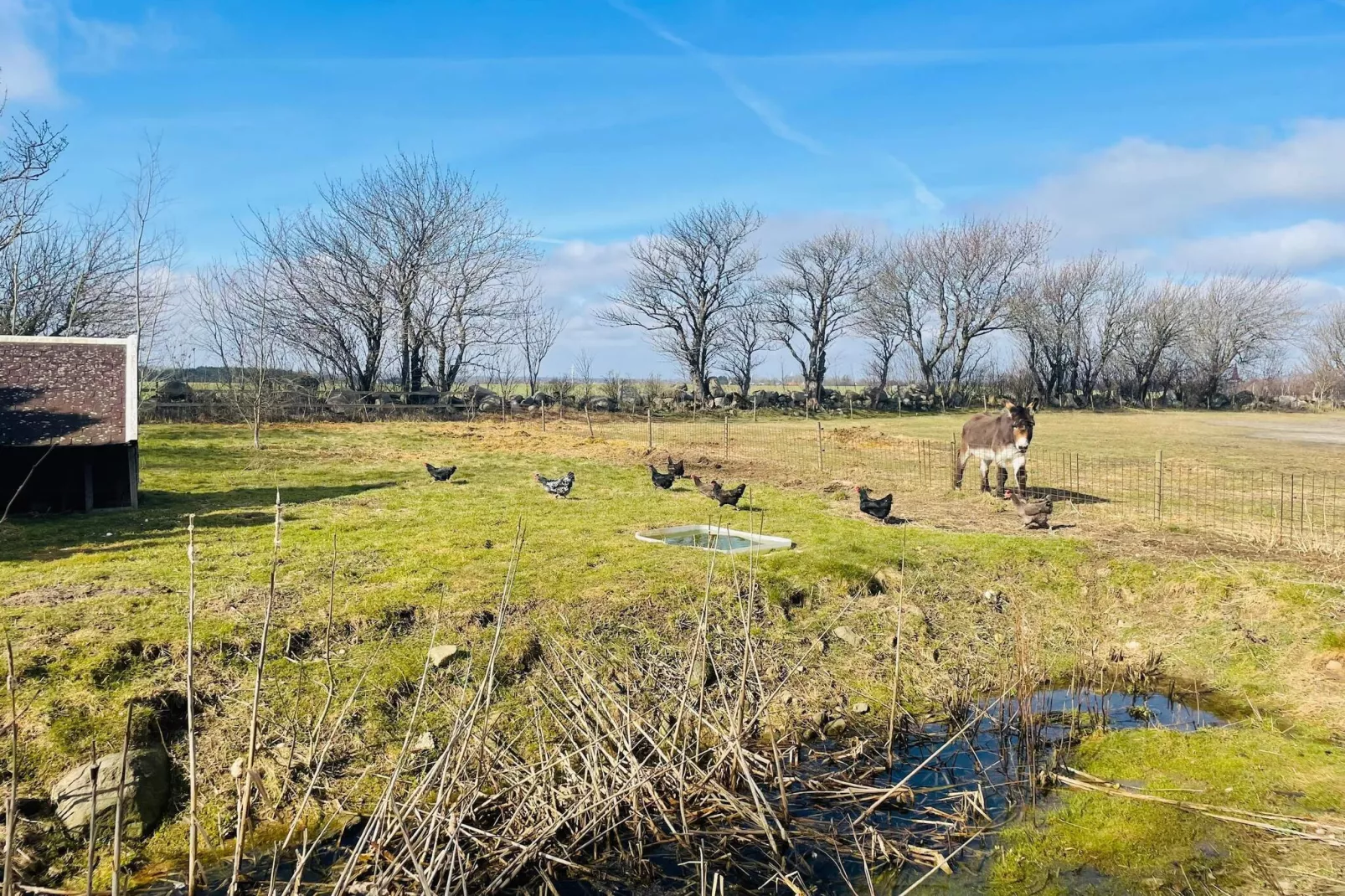 Maison de vacances pour 4 a TOMELILLA