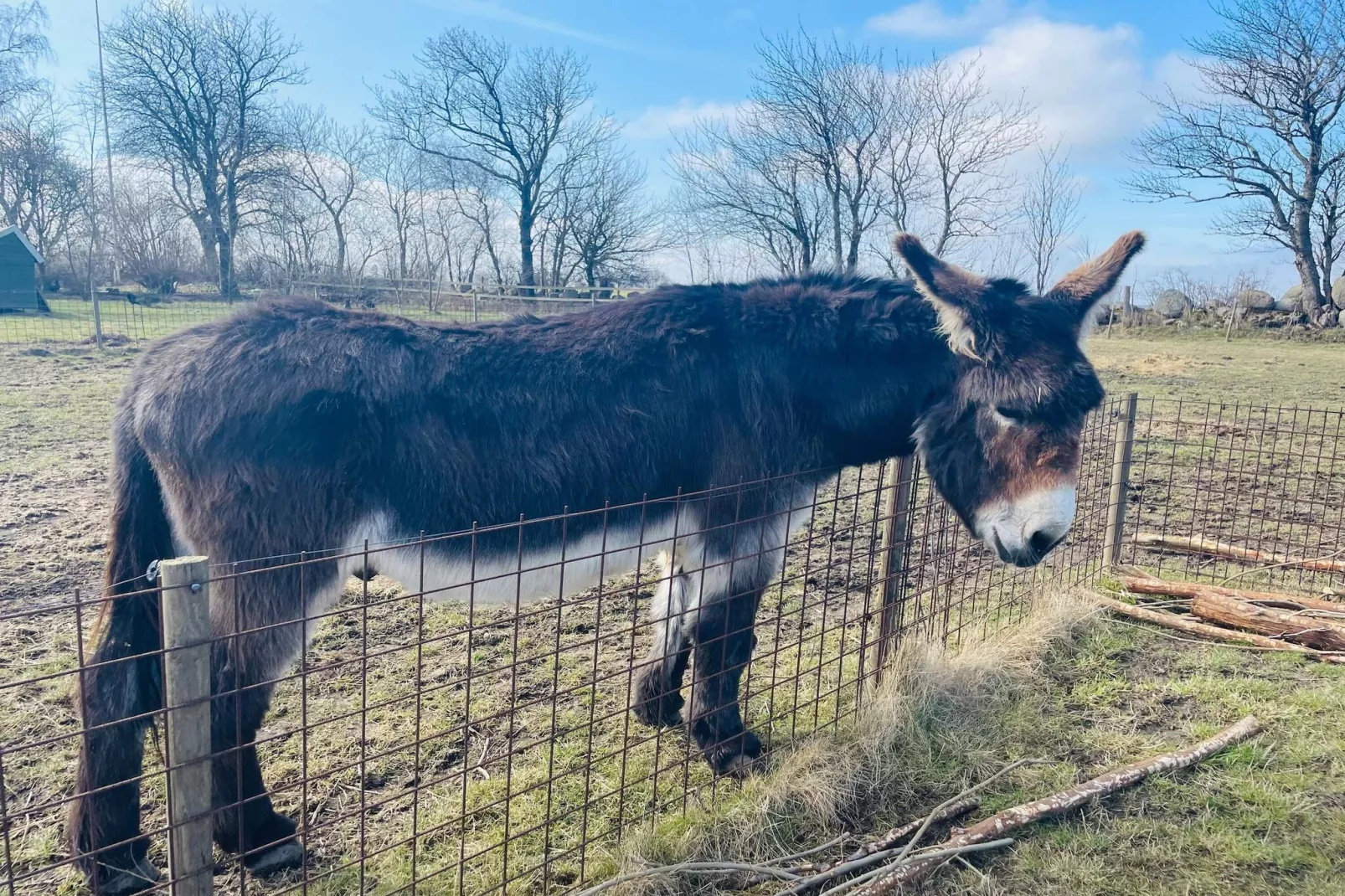 Maison de vacances pour 4 a TOMELILLA