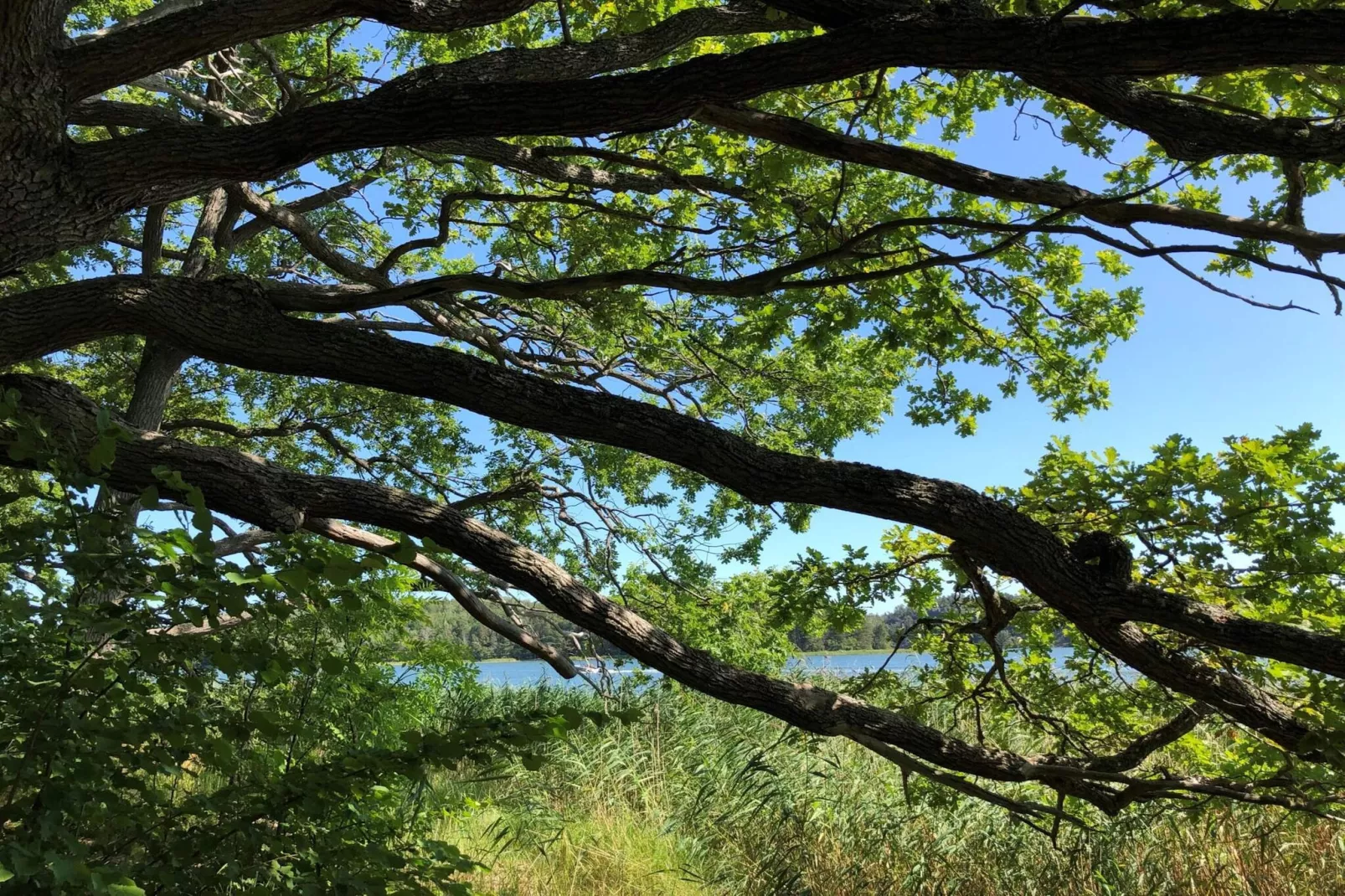 4 Sterne Ferienhaus in SORUNDA - Im Freien