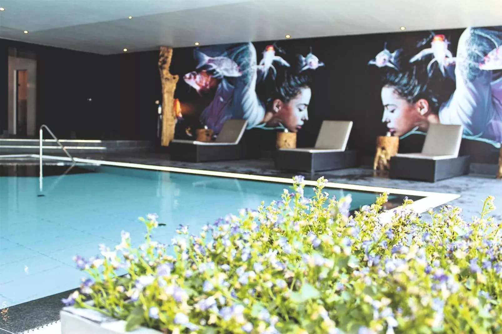 Doppelhaushälfte Typ 2 55 qm - Piscine