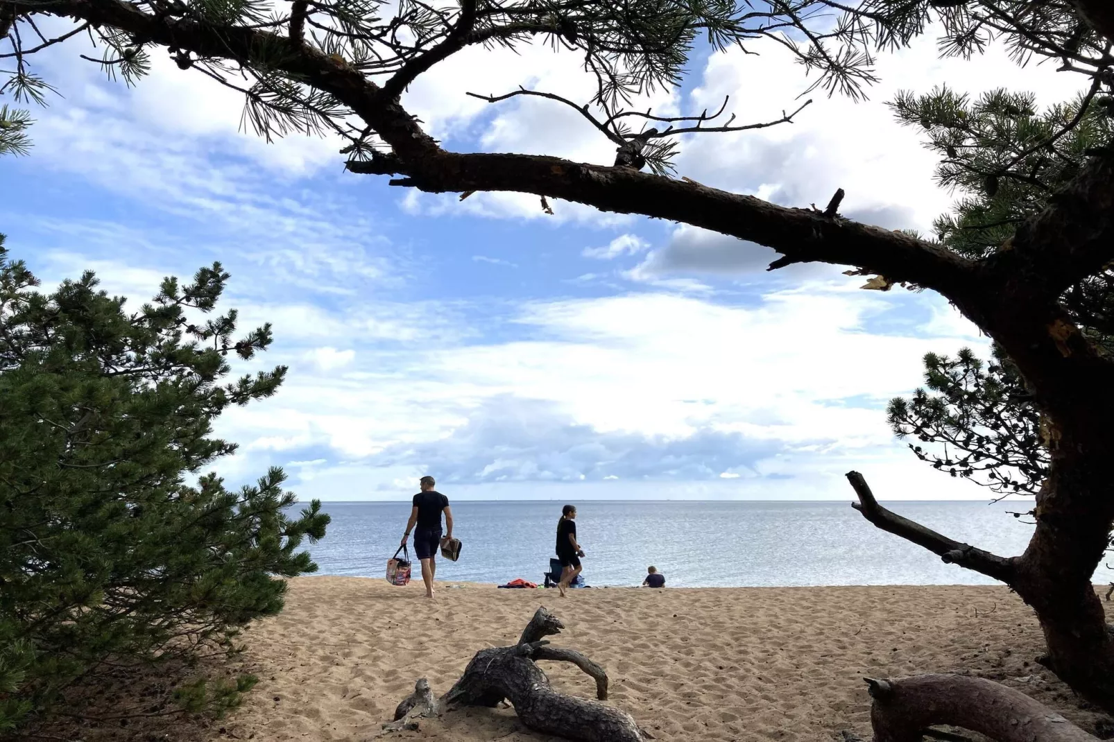 4 star holiday home in YNGSJÖ, SVERIGE - Outdoor