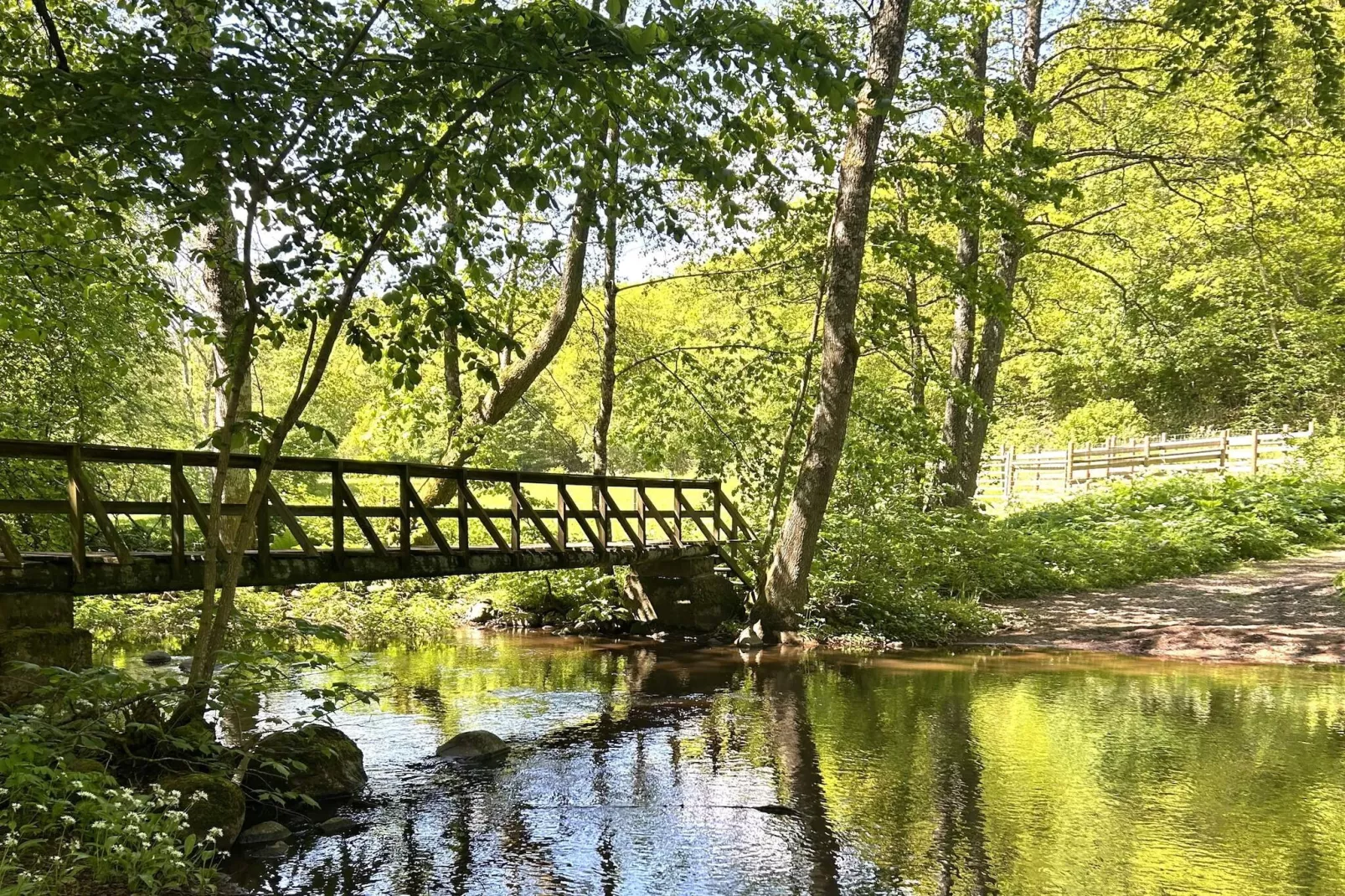 4 star holiday home in YNGSJÖ, SVERIGE - Outdoor