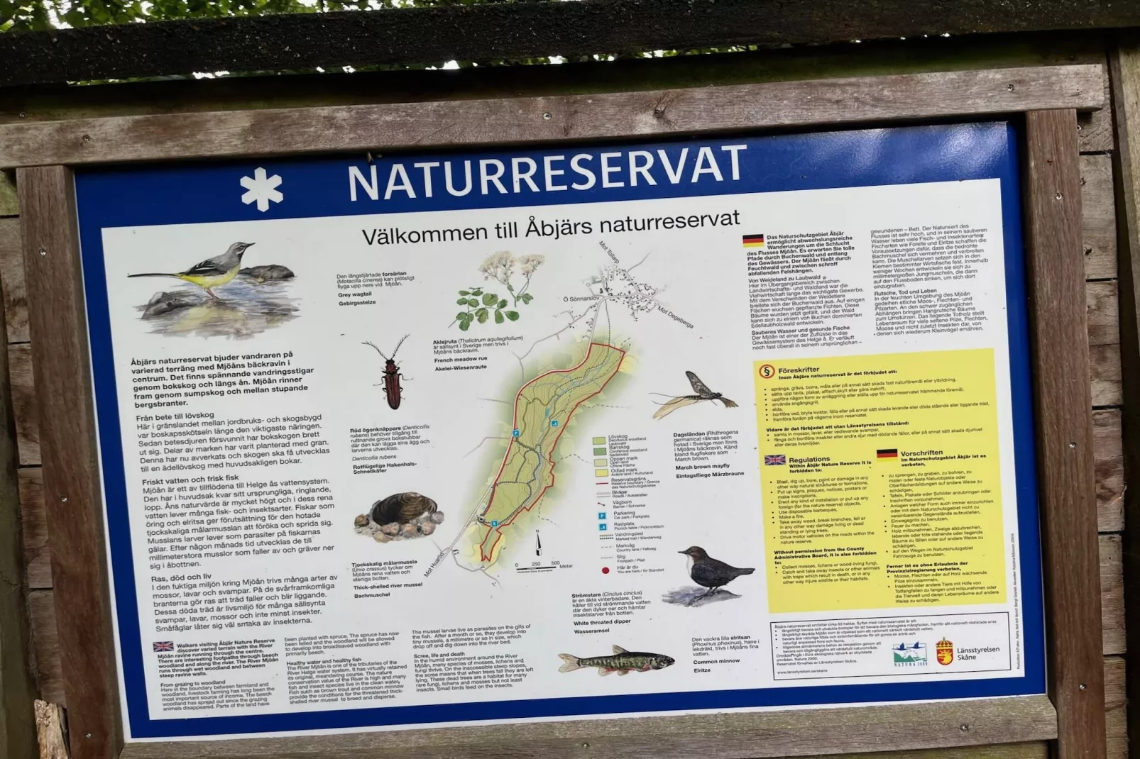 4 star holiday home in YNGSJÖ, SVERIGE - Outdoor