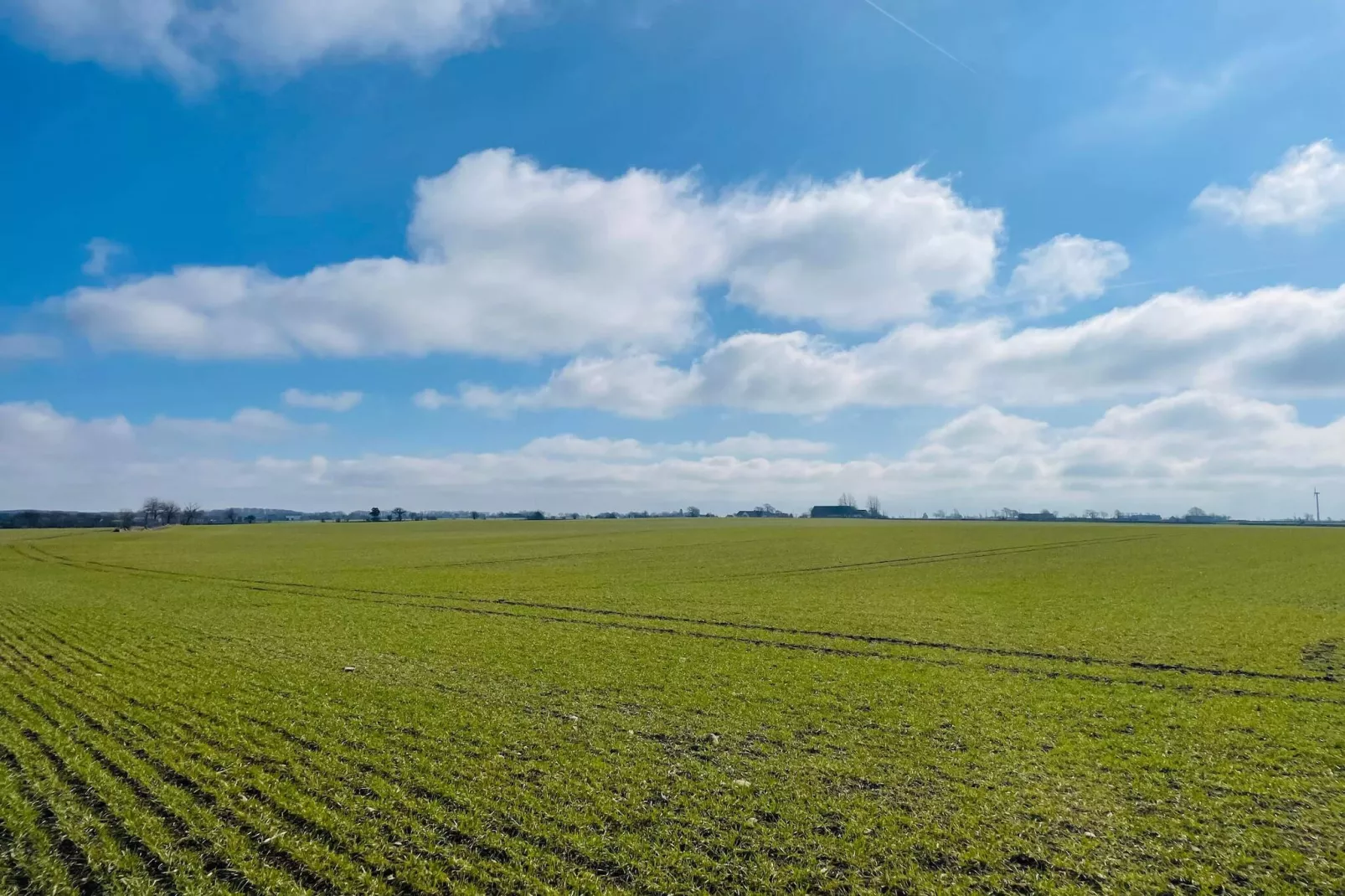 Maison de vacances pour 4 a TOMELILLA - Extérieur