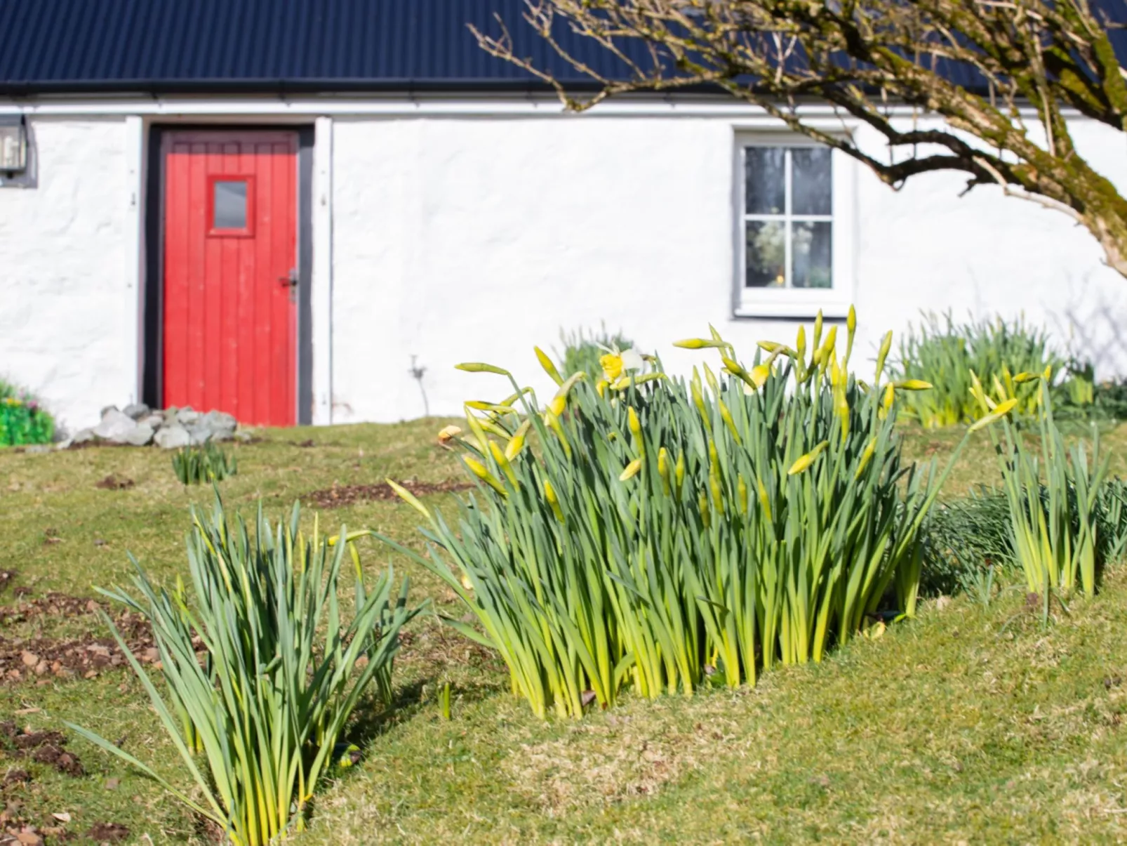 The Cottage - Outside