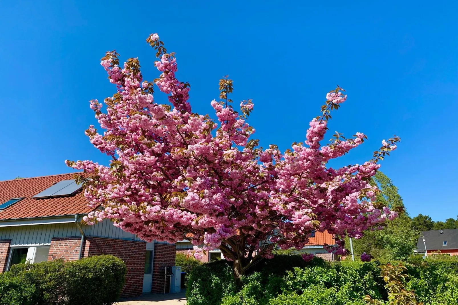 Müritzzeit - Extérieur été