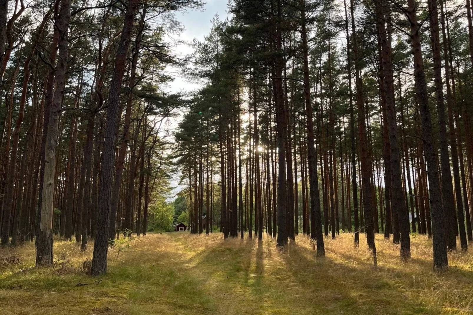 4 star holiday home in YNGSJÖ, SVERIGE - Outdoor