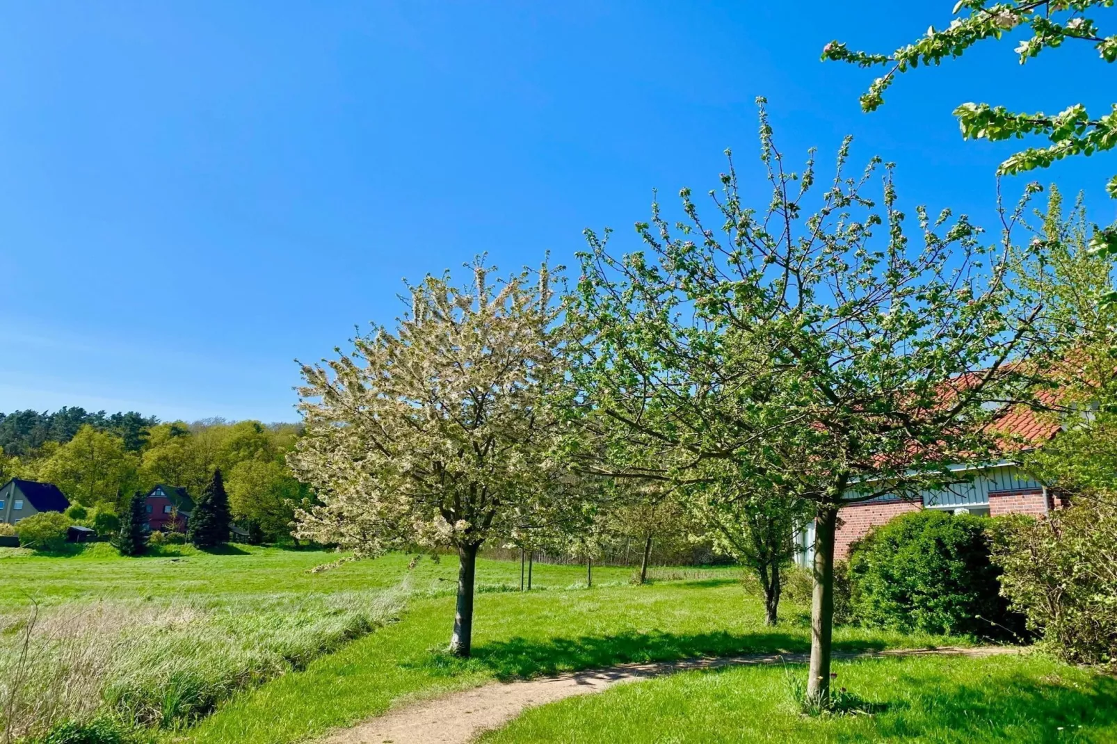 Müritzzeit - Jardins en été