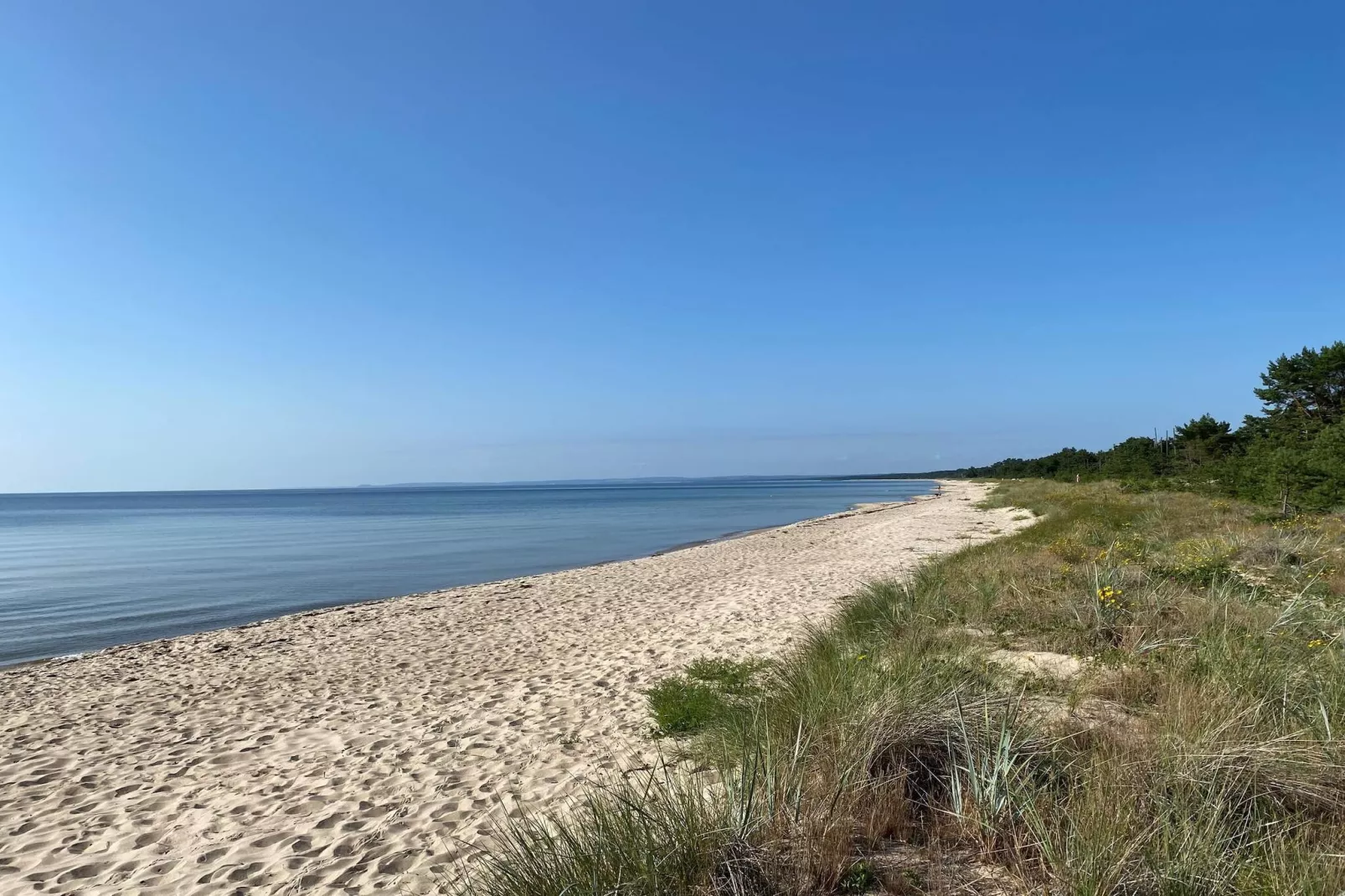 4 star holiday home in YNGSJÖ, SVERIGE - Outdoor