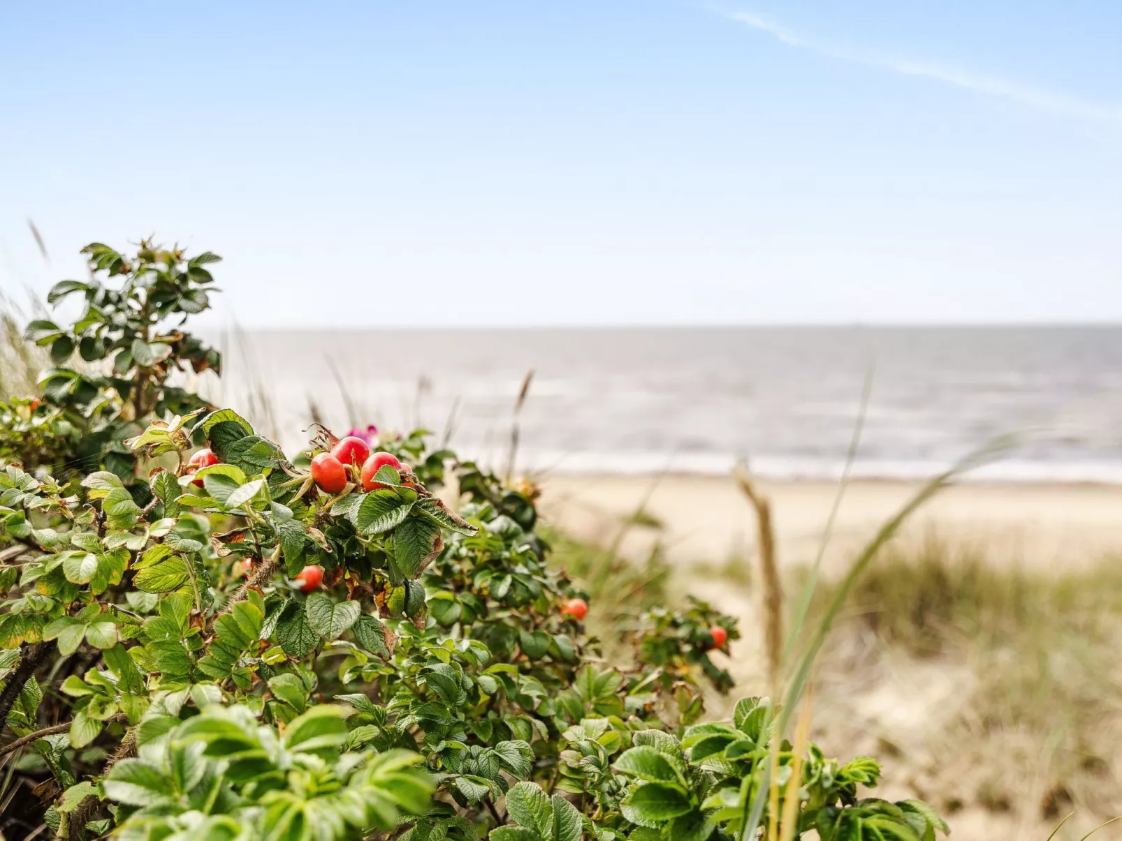 Vårhemsplatsen - Outside