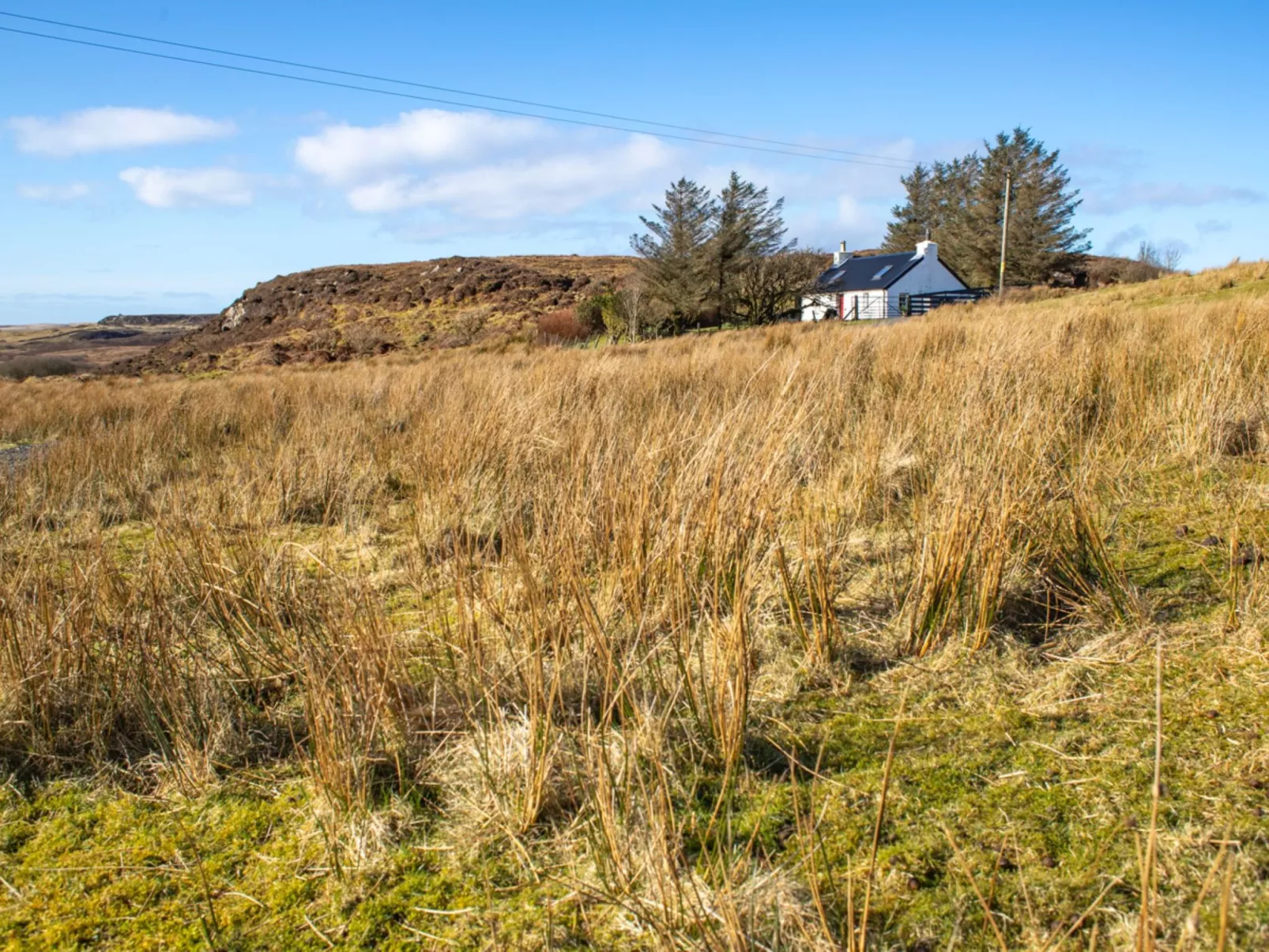 The Cottage - Outside