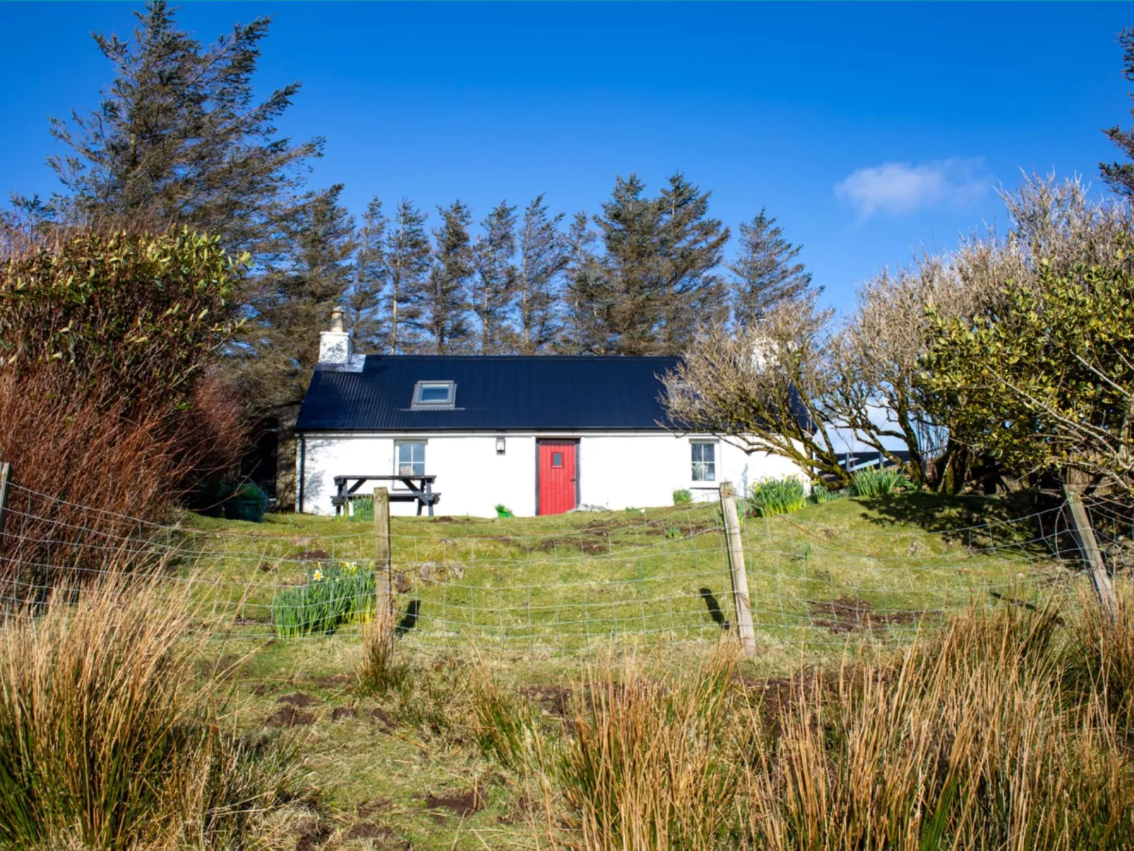 The Cottage - Outside