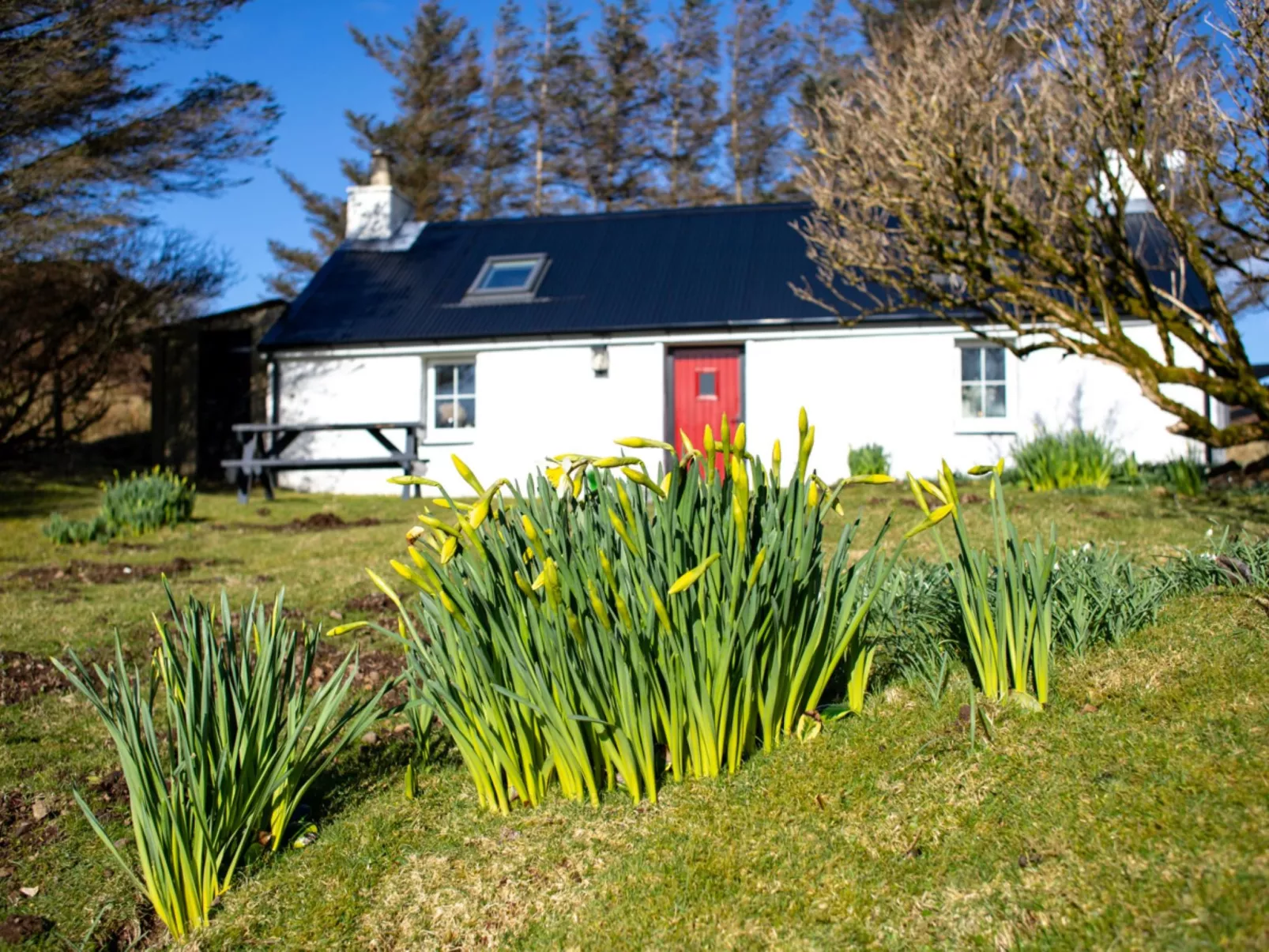 The Cottage - Outside