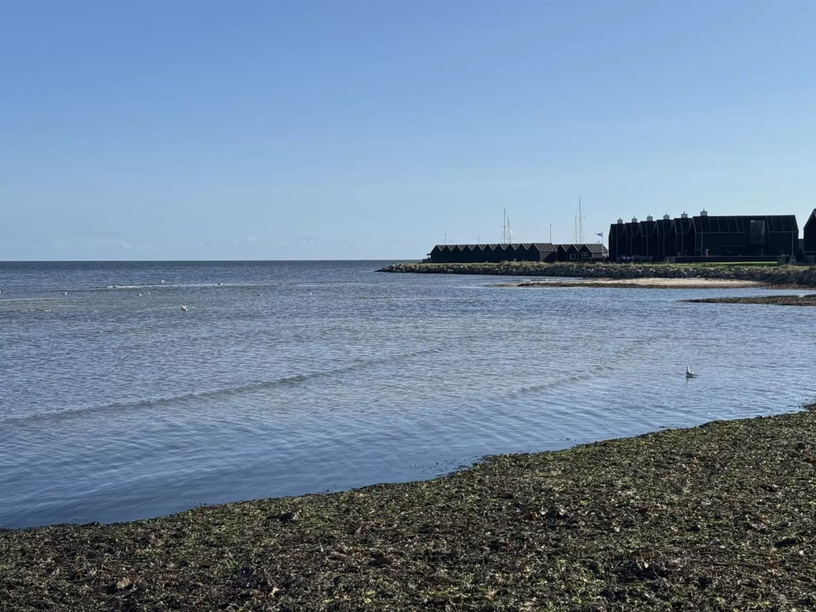 "Elevus" -  from the sea