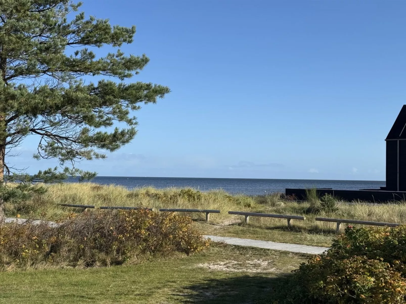 "Elevus" -  from the sea - Draußen