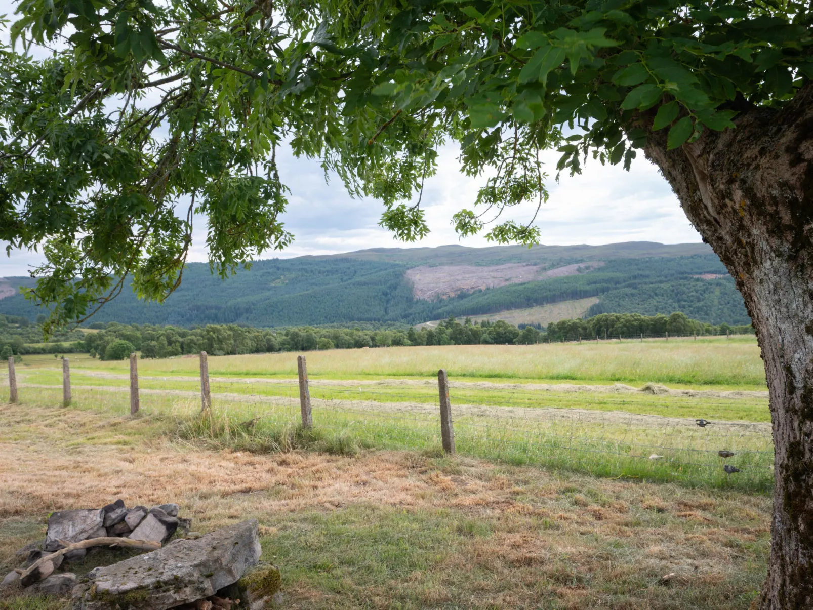 Loch Meiklie View - Draußen