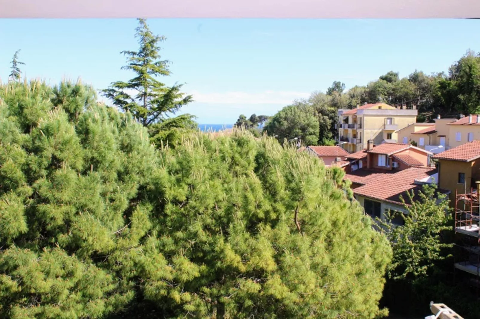 TRILO NOVELLA 2 - Vue d'été