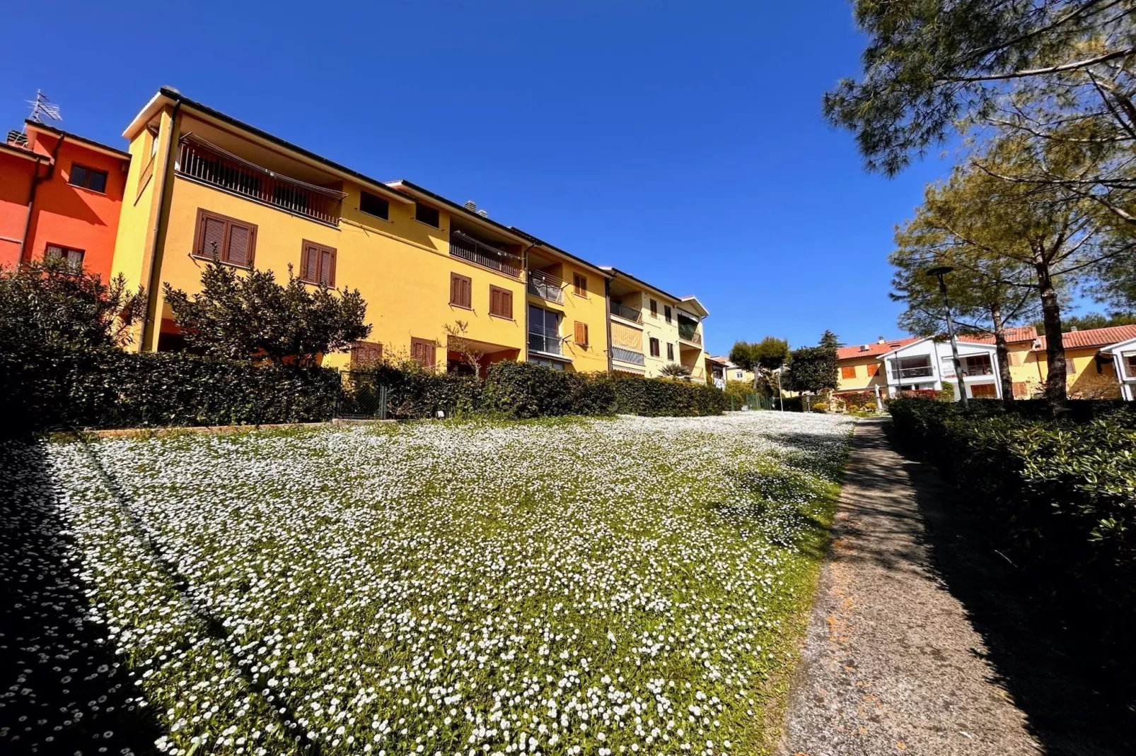 TRILO NOVELLA 2 - Extérieur été