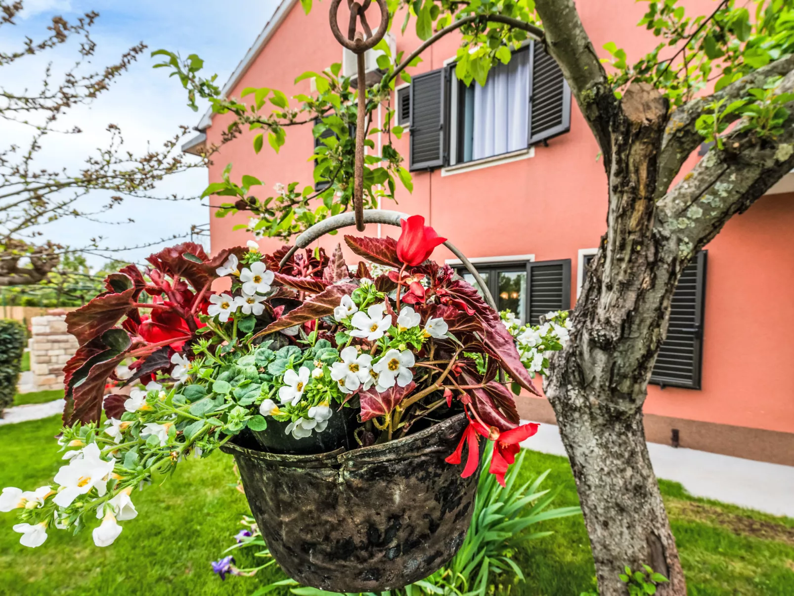 Villa Roza - Outside