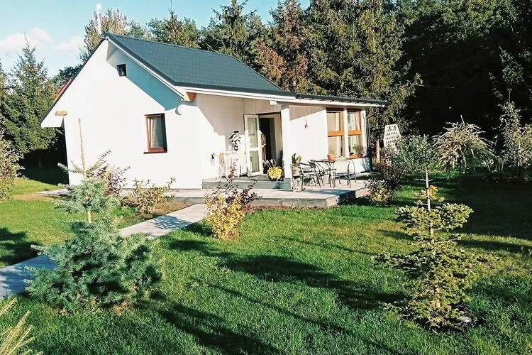 Budlejowy domek dla 4 osób w Kołczewie-Exterior summer