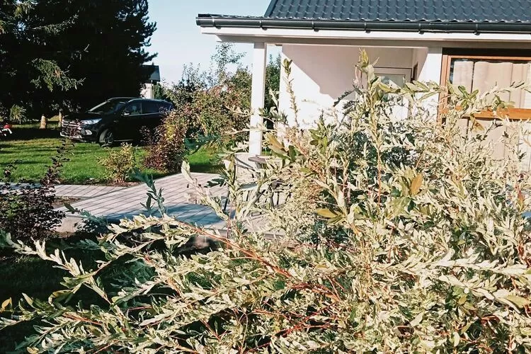 Budlejowy domek dla 4 osób w Kołczewie-Exterior summer