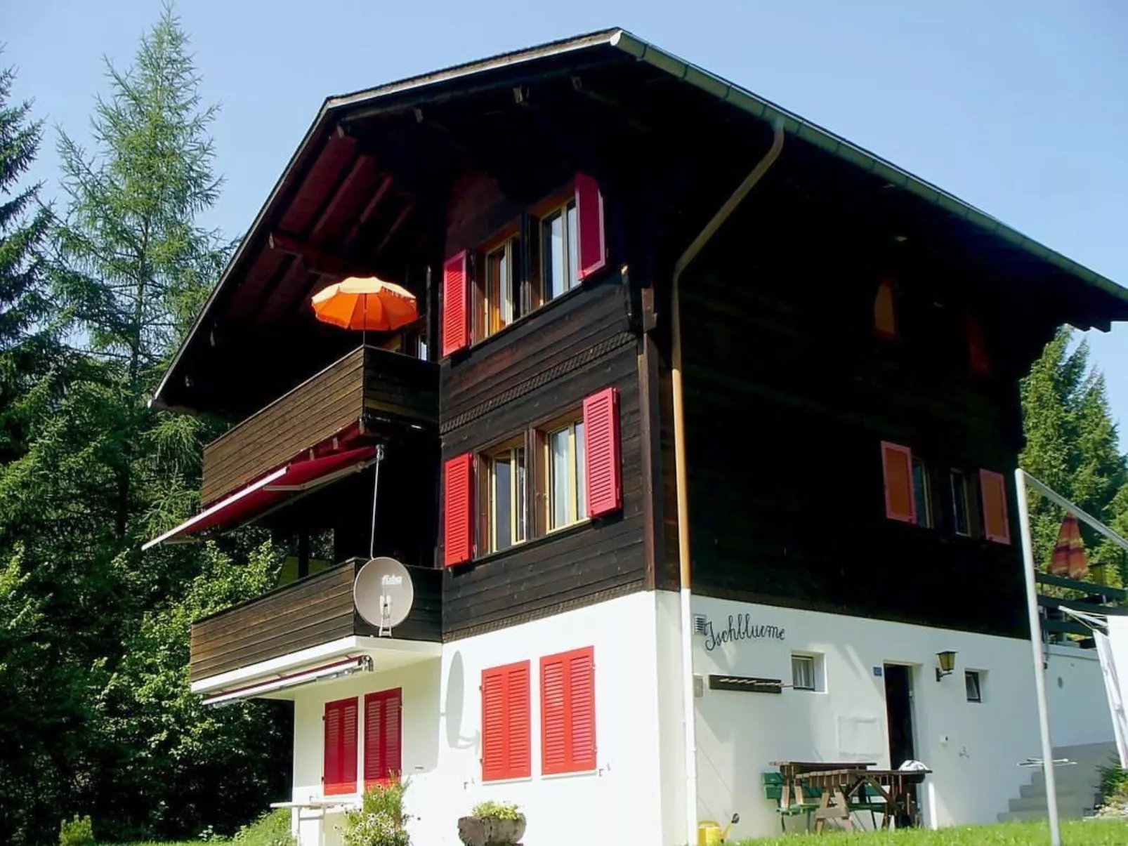 Ischblueme - Image-tags.info