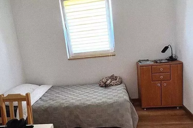 Budlejowy domek dla 4 osób w Kołczewie-Bedroom