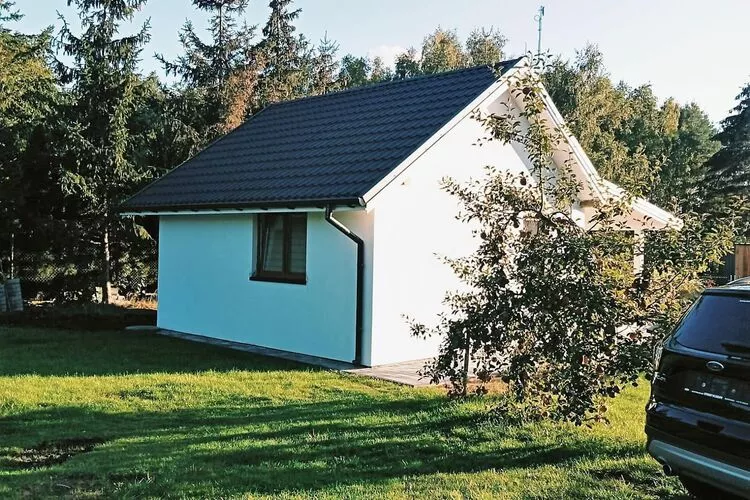 Budlejowy domek dla 4 osób w Kołczewie-Exterior summer