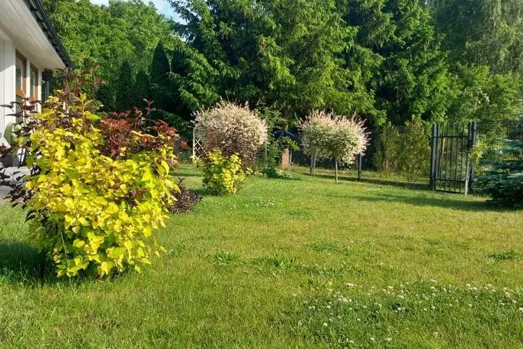 Budlejowy domek dla 4 osób w Kołczewie-Gardens summer