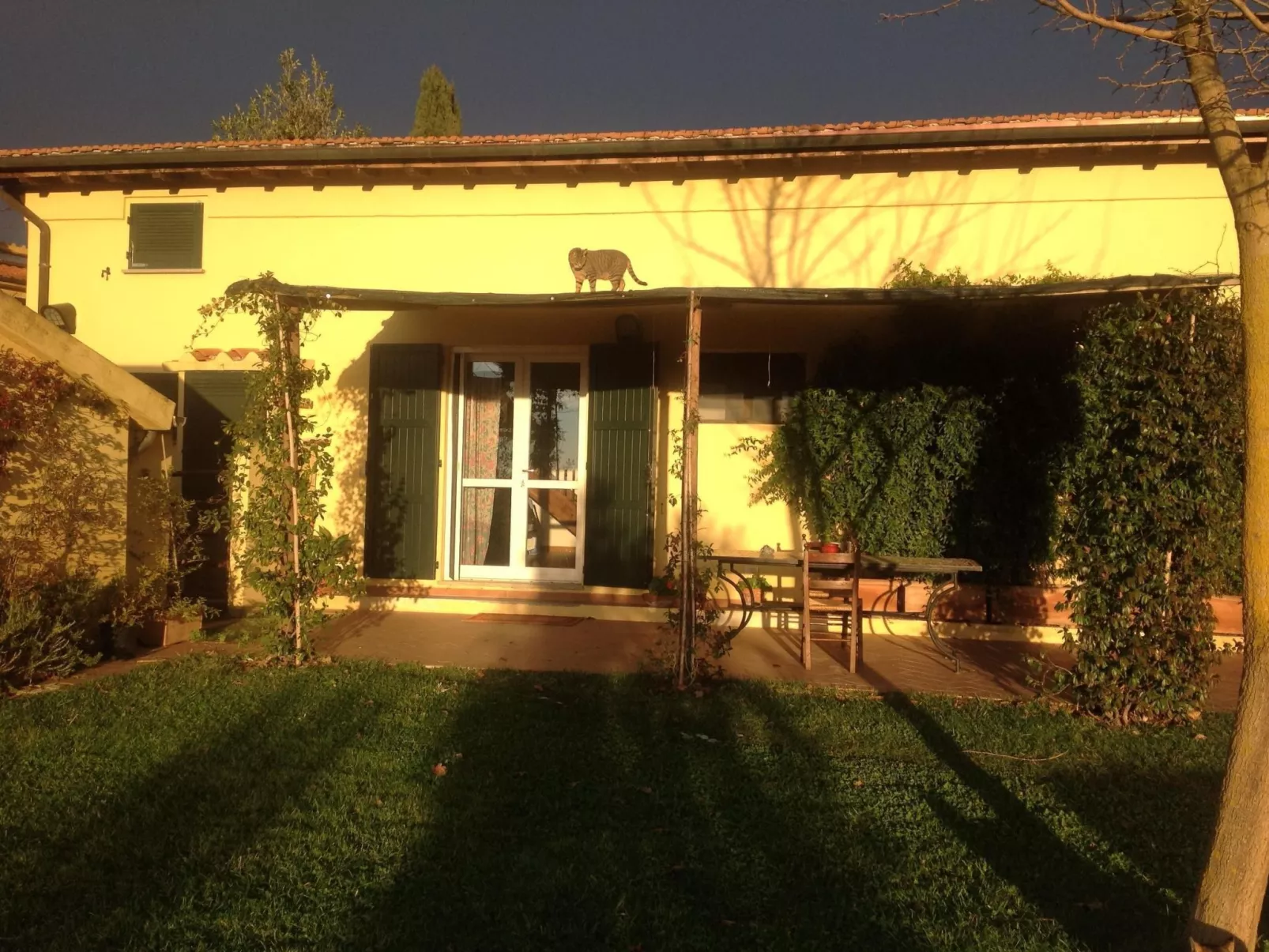 Haus mit Gartenblick - Image-tags.info