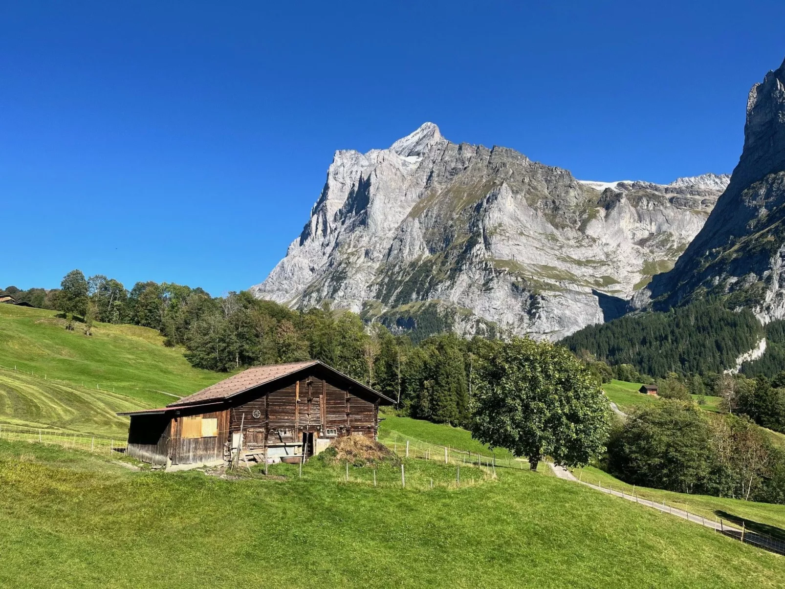 Ischblueme - Image-tags.info