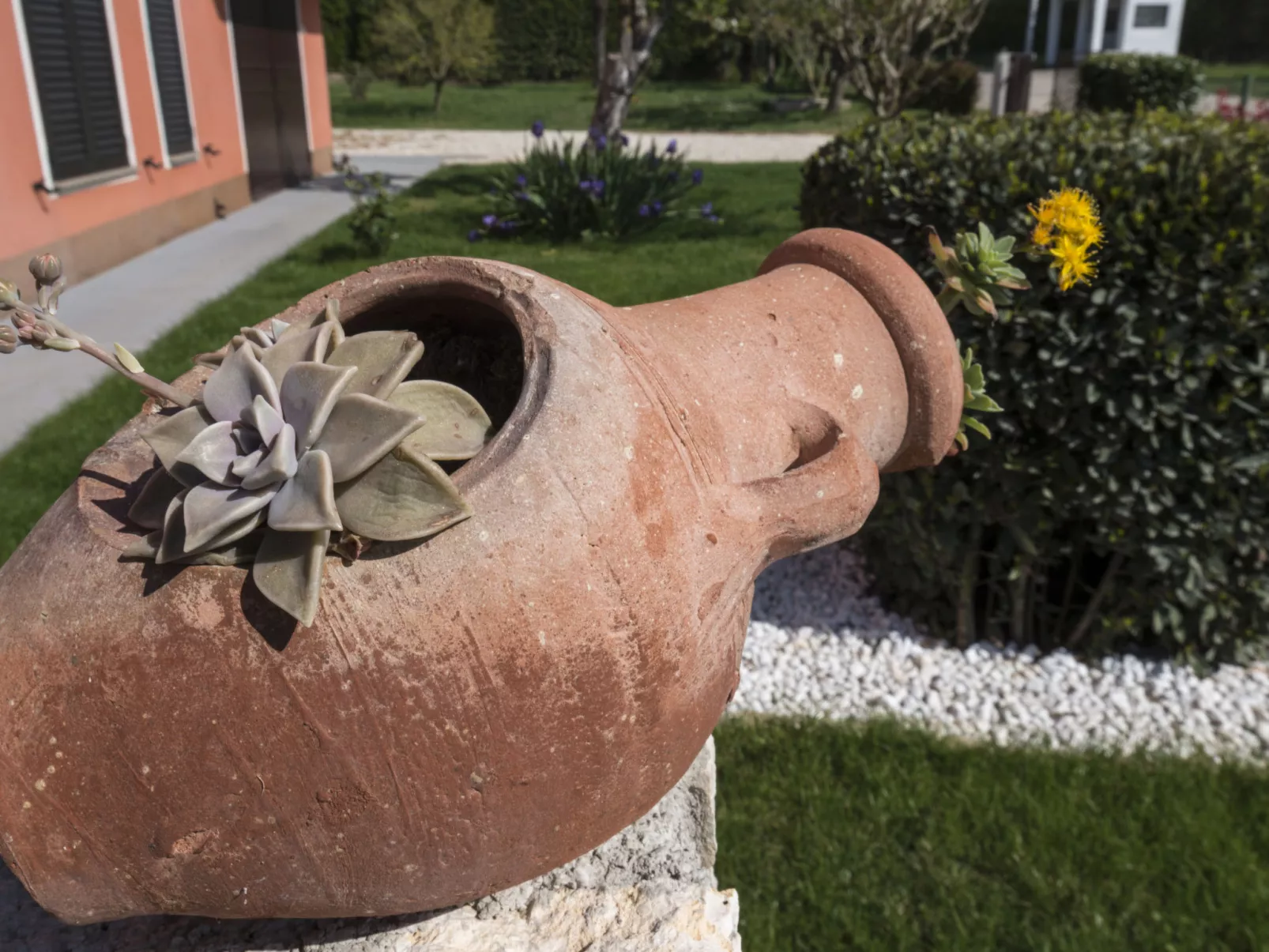 Villa Roza - Outside