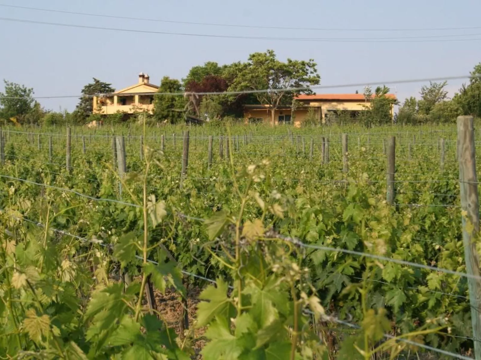 Haus mit Gartenblick - Image-tags.info