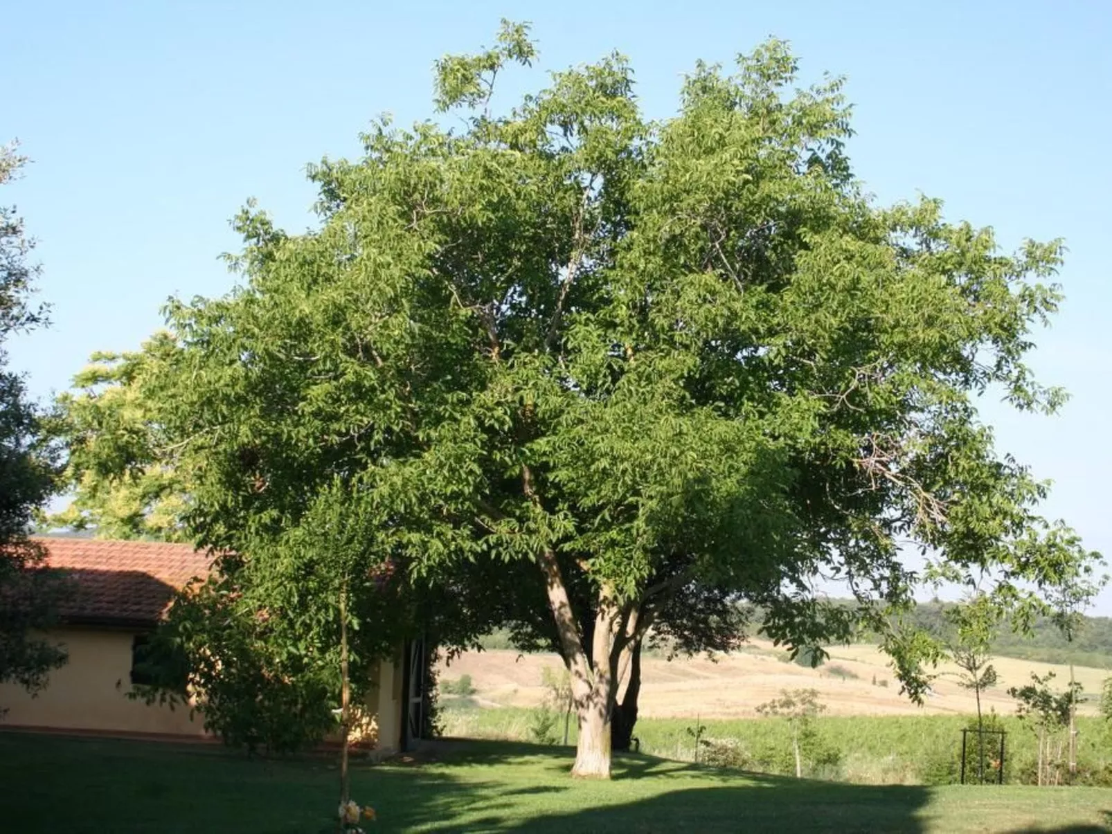 Haus mit Gartenblick - Image-tags.info