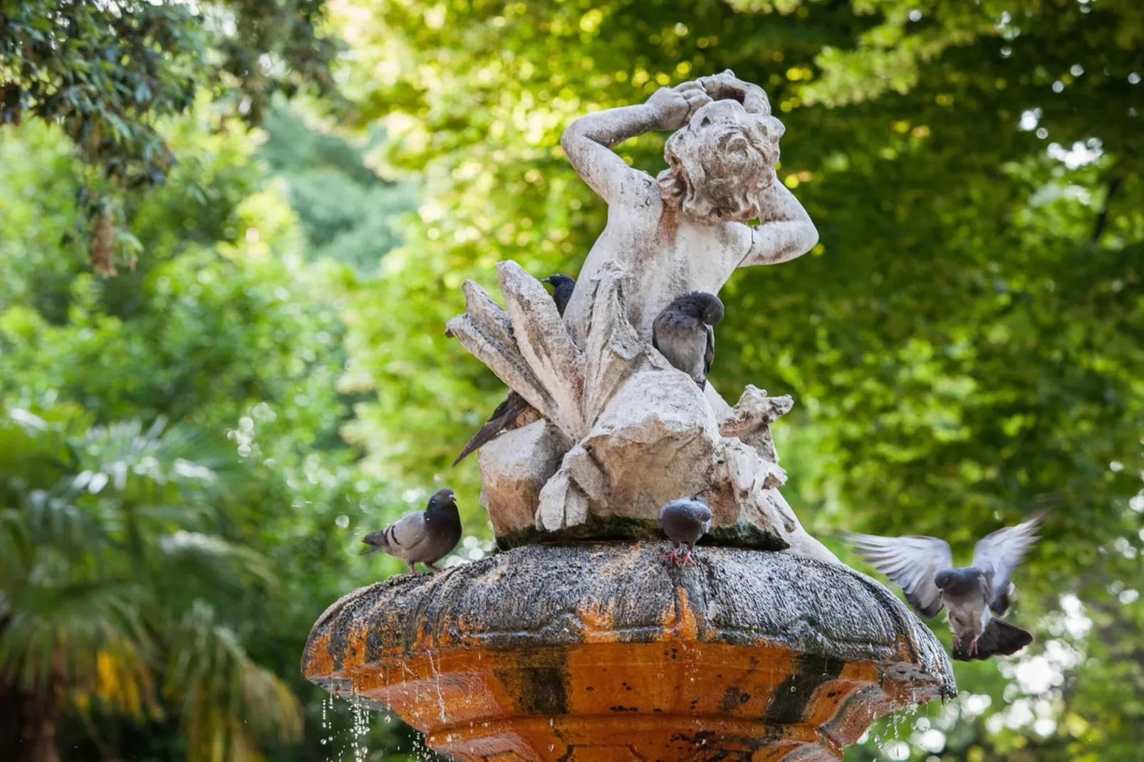 Luxury Apartment Luft Split Near Old Town - Areas within 5km in summer