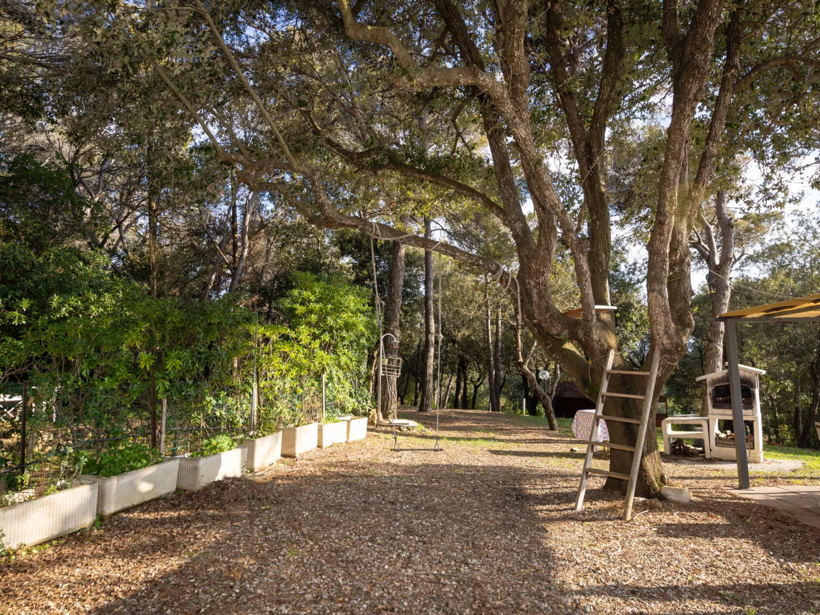 La casetta immersa nel verde - Draußen