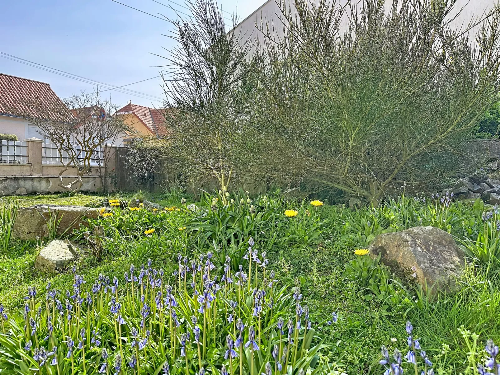 La Rose des Pins - Dehors